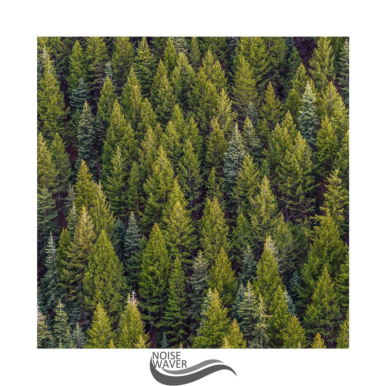Релиз Forest Rustling Noises