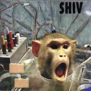 Shiv все песни в mp3