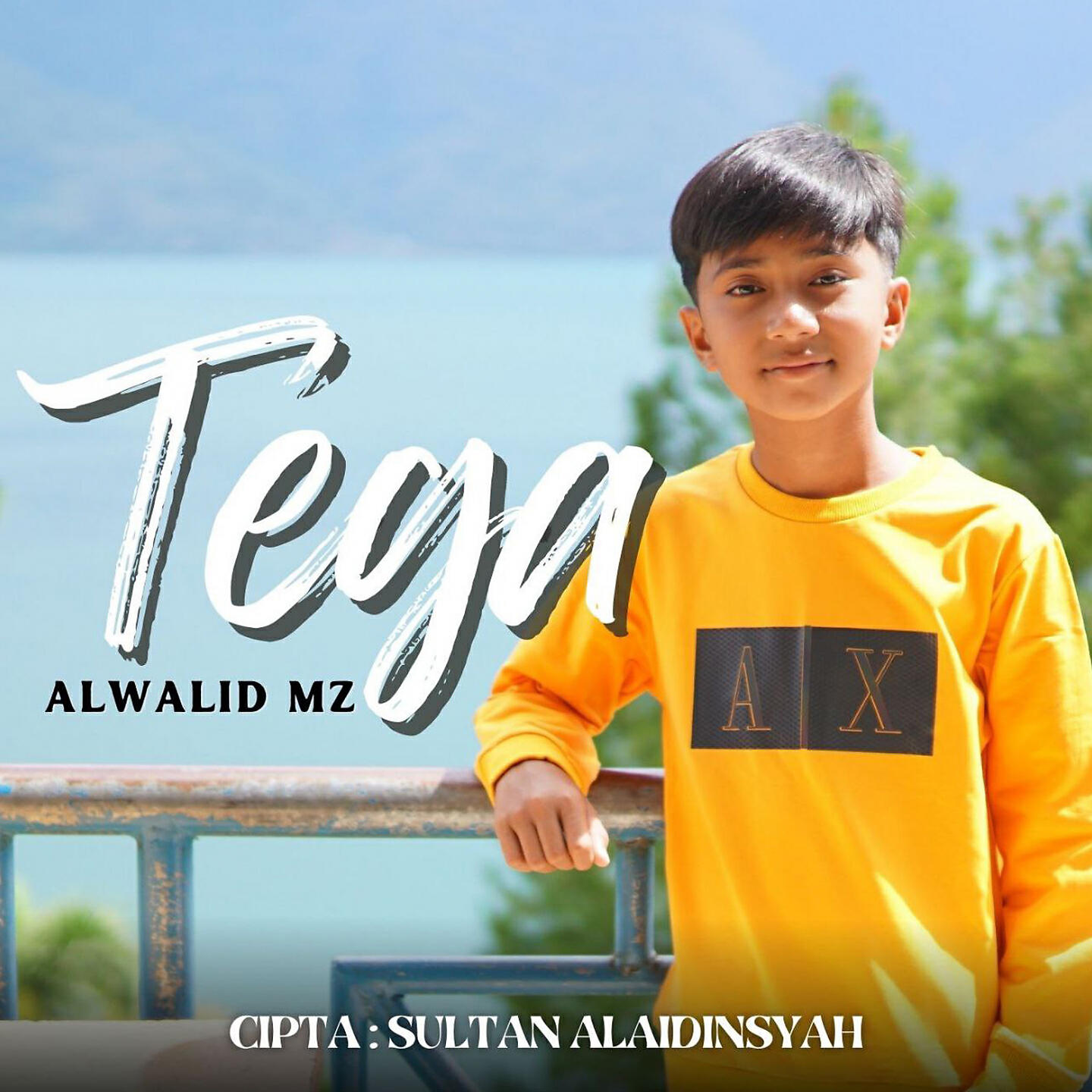 Релиз Tega