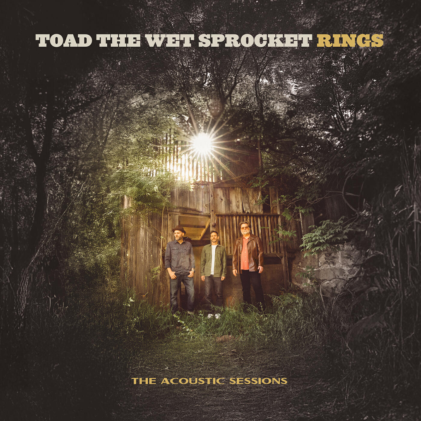 Релиз Rings (The Acoustic Sessions)