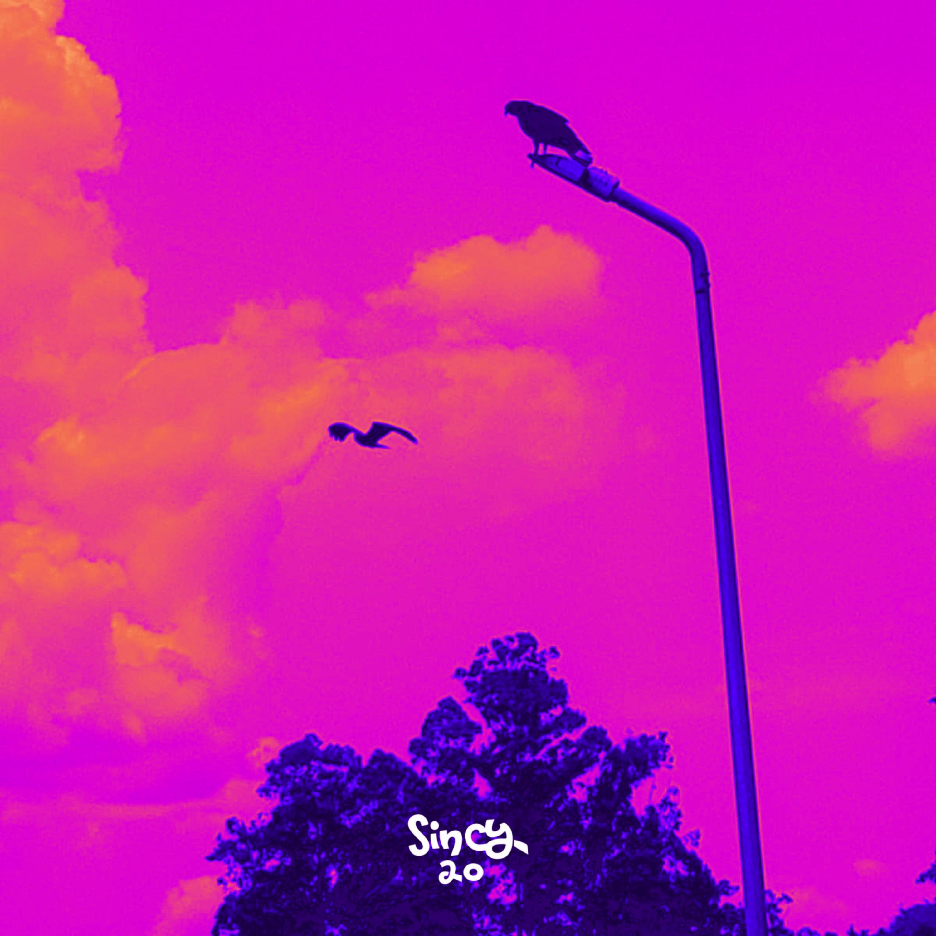 Релиз 2059 Skies