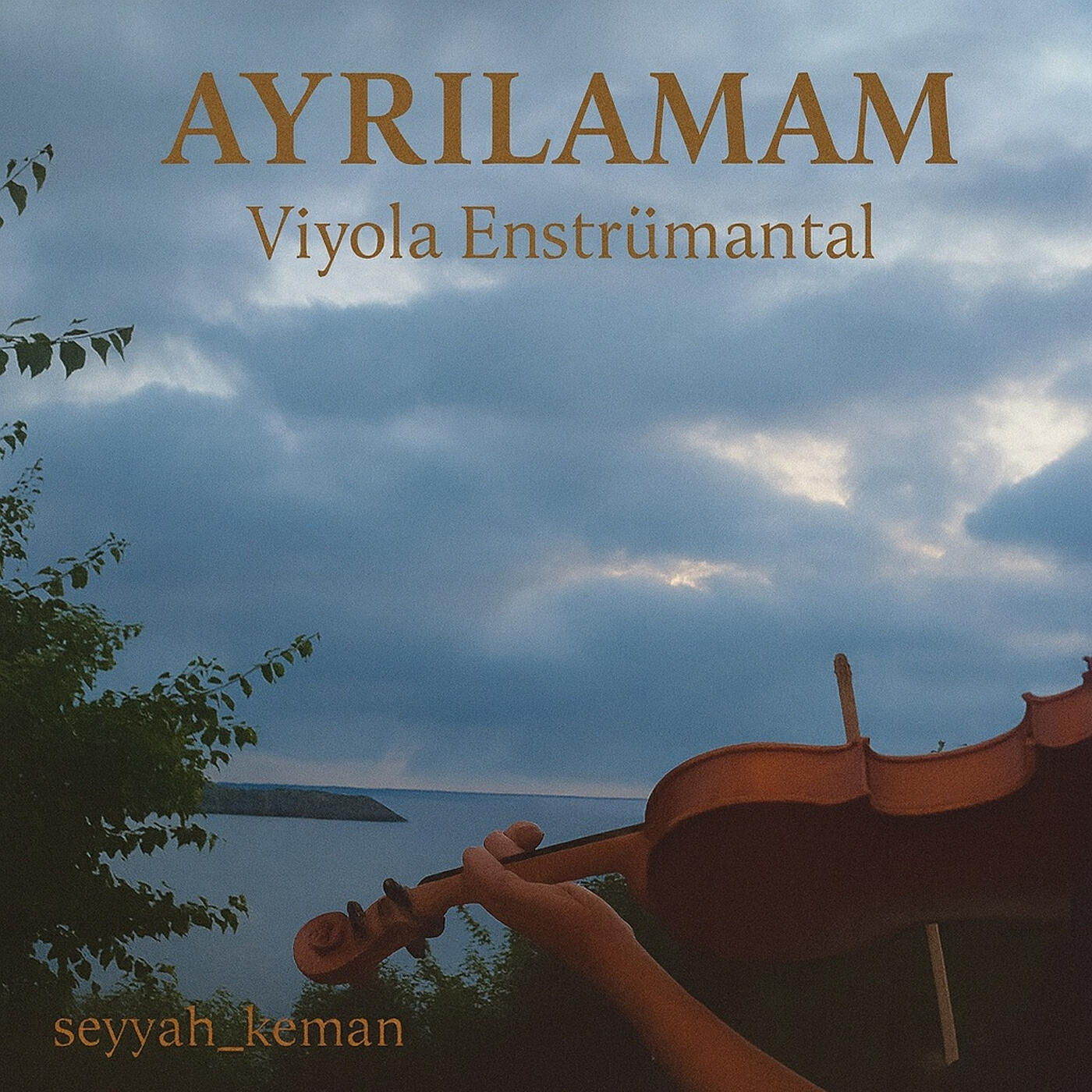 Релиз Ayrılamam (Viyola Enstrümantal)