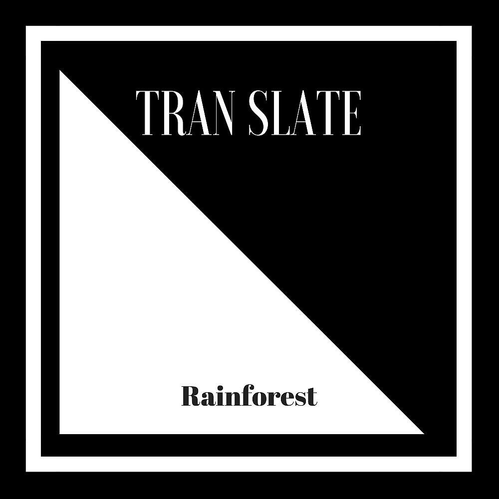 Релиз Rainforest
