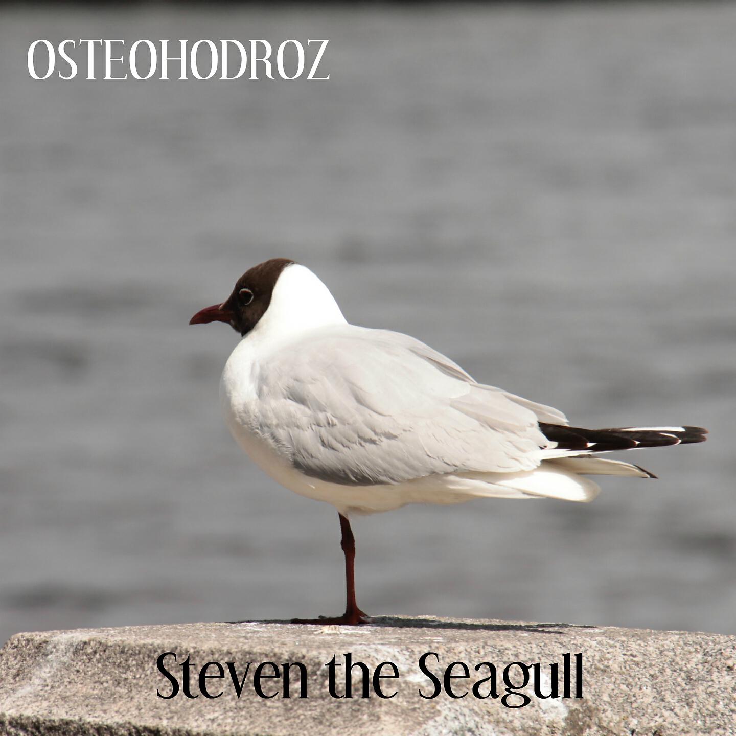 Релиз Steven the Seagull