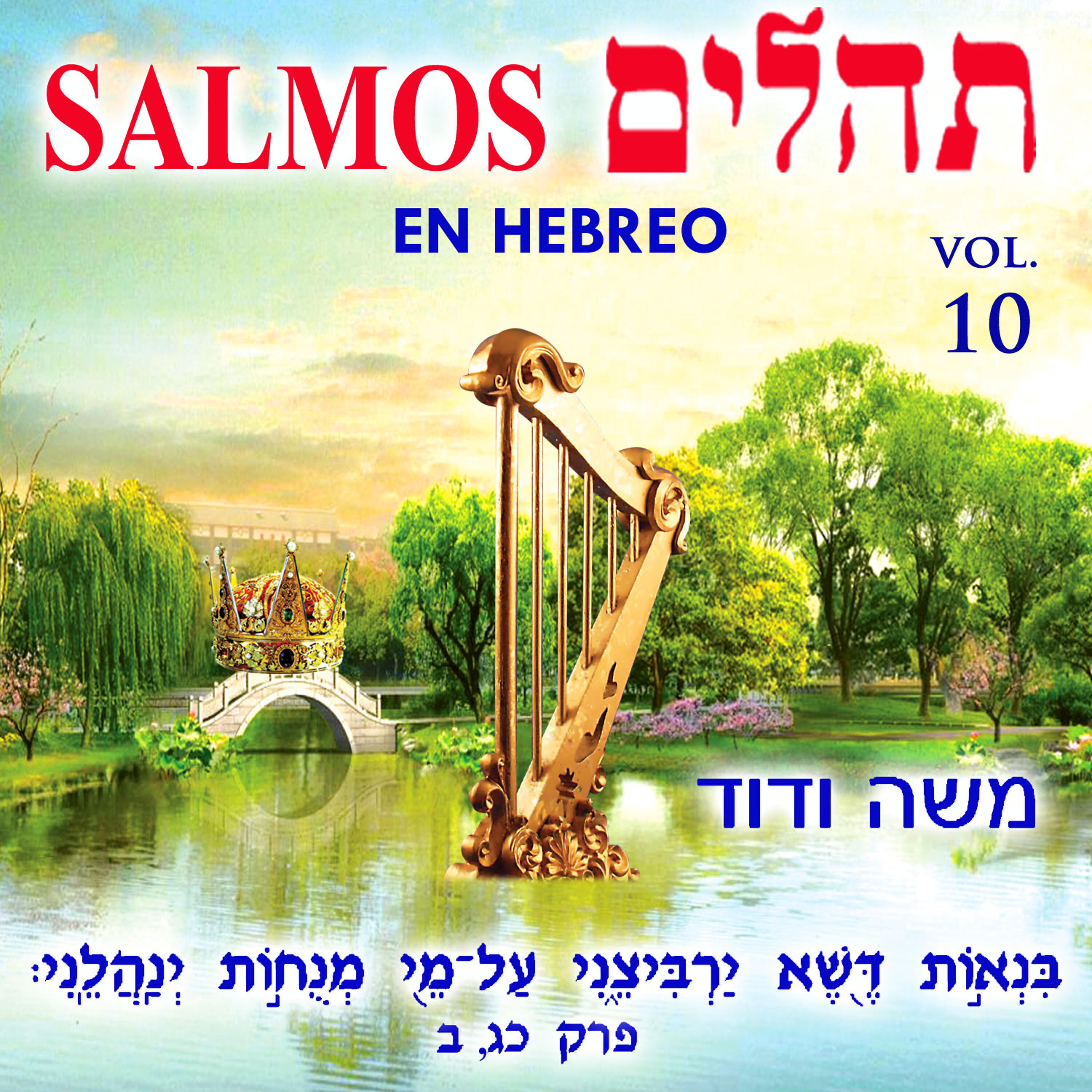 Релиз Tehilim Salmos en Hebreo, Vol. 10