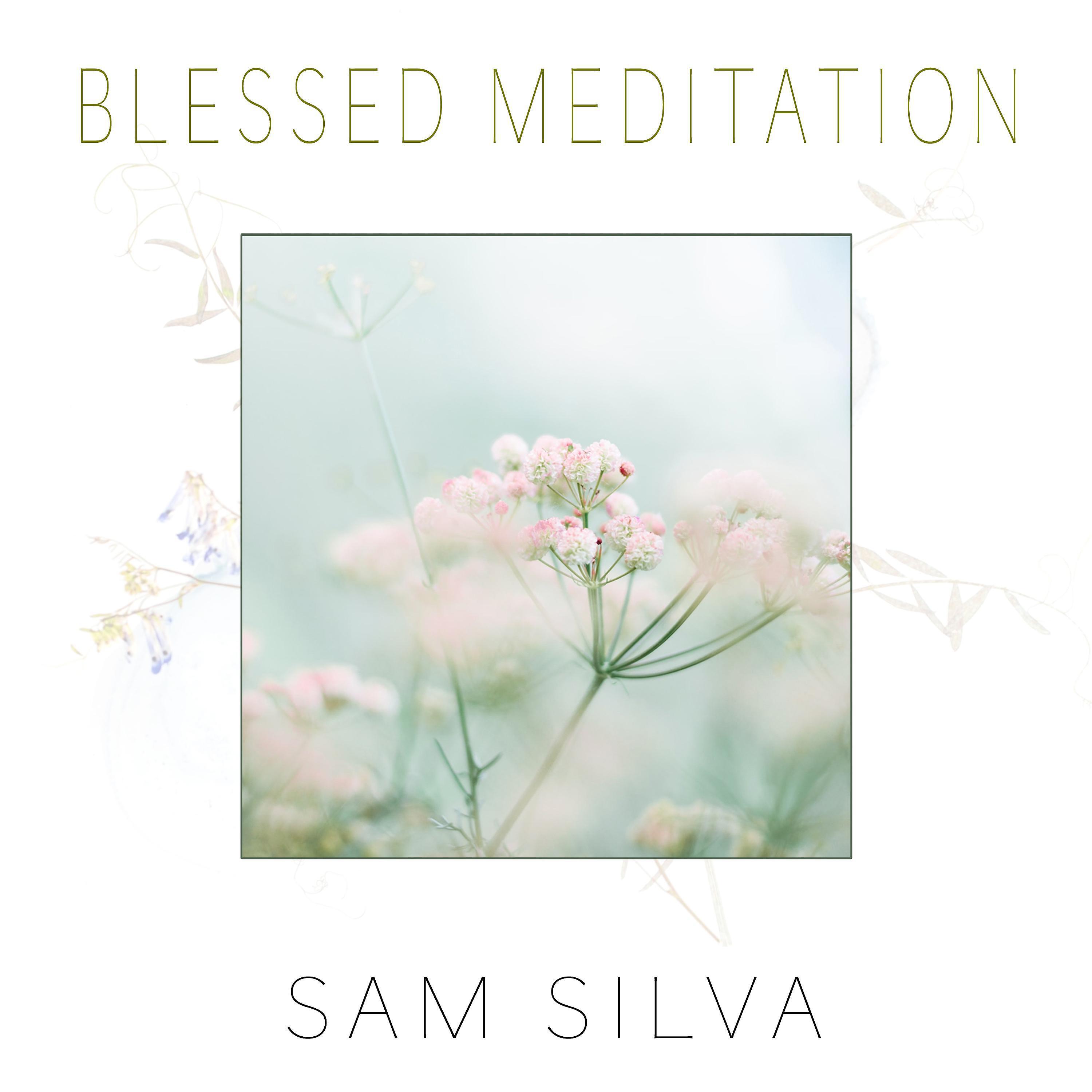Релиз Blessed Meditation