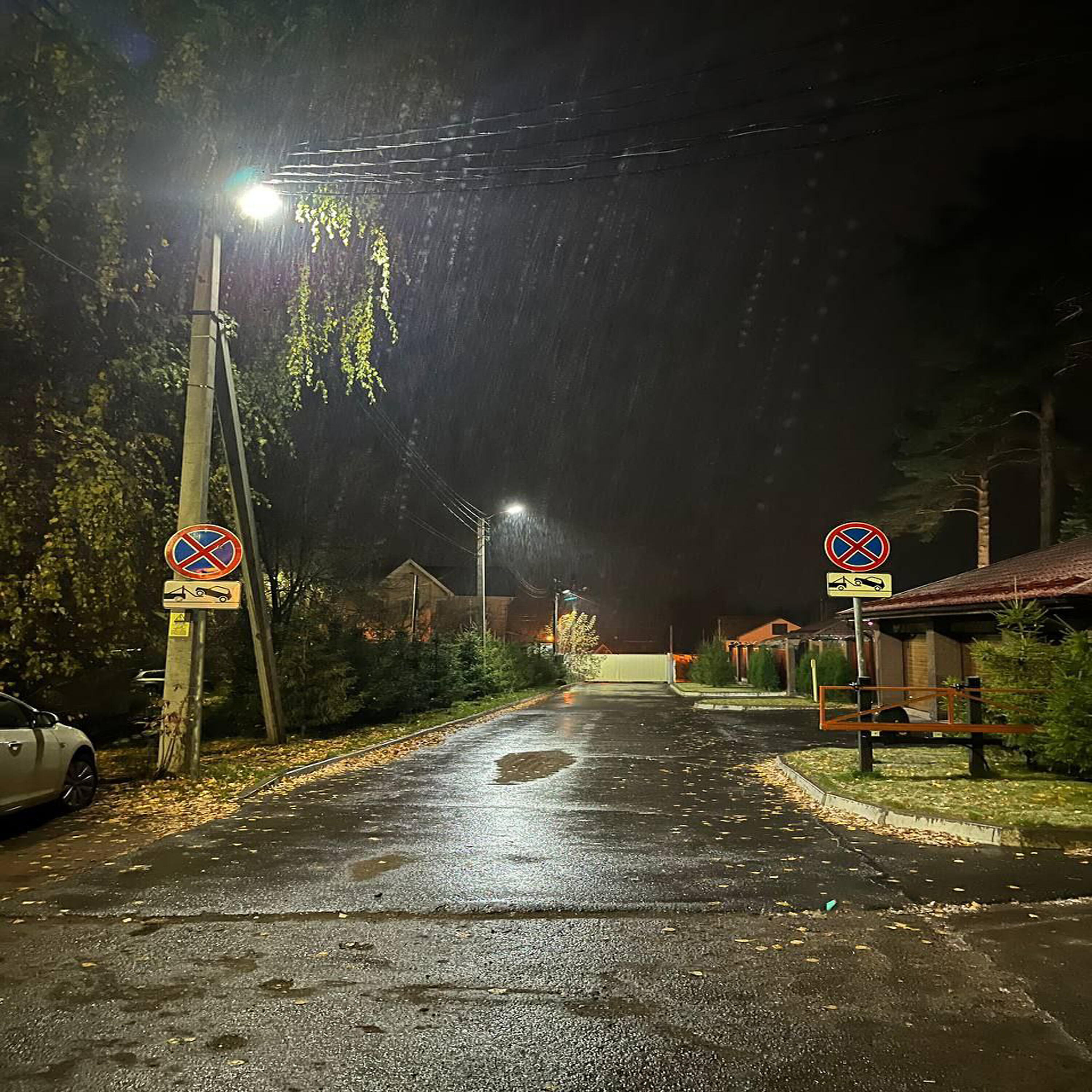 Релиз полотно