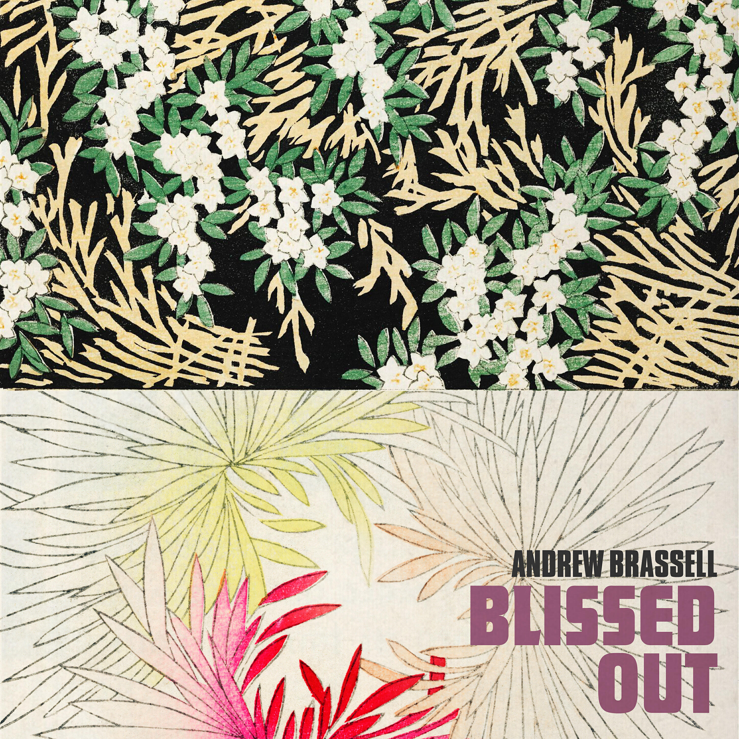 Andrew Brassell