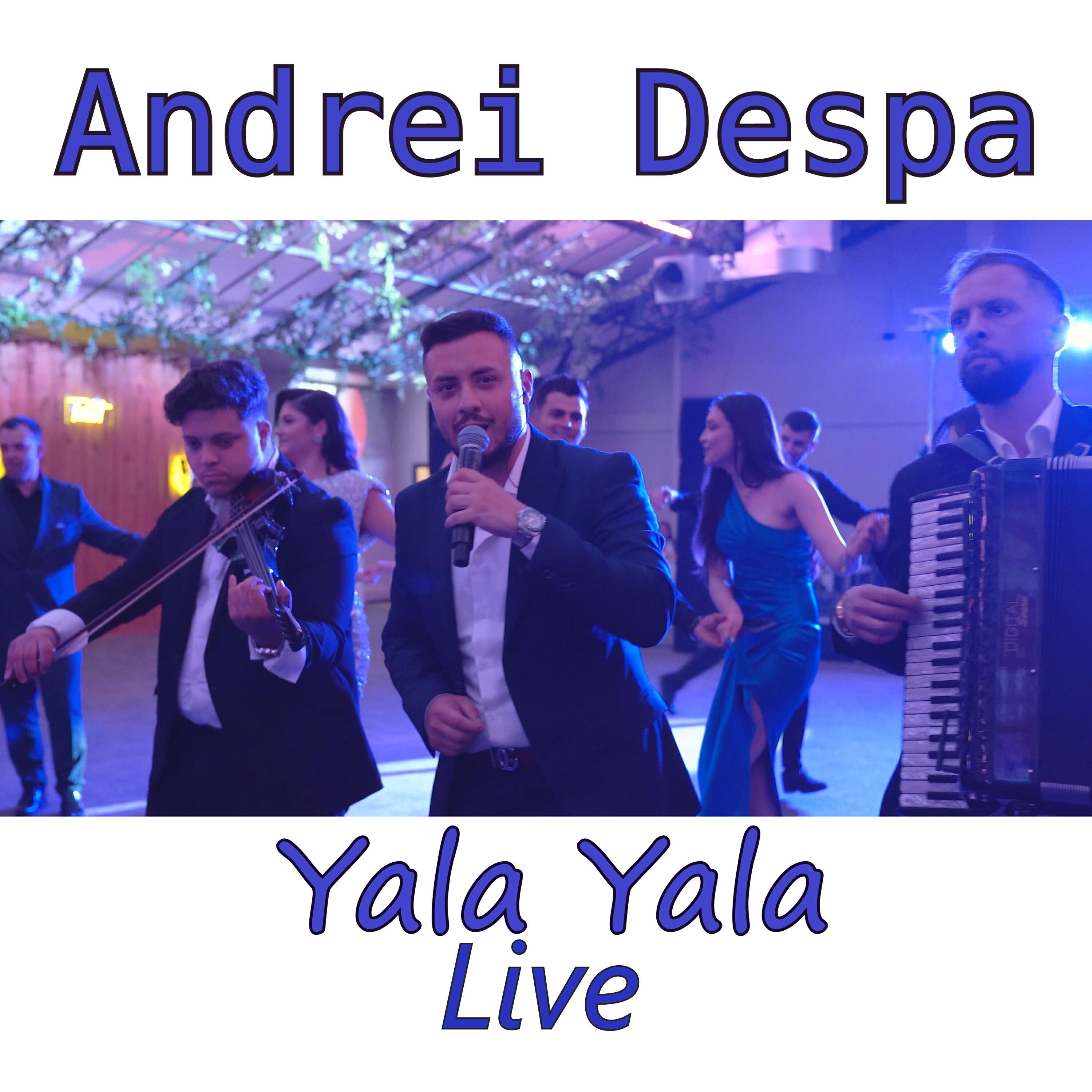 Релиз Yala Yala