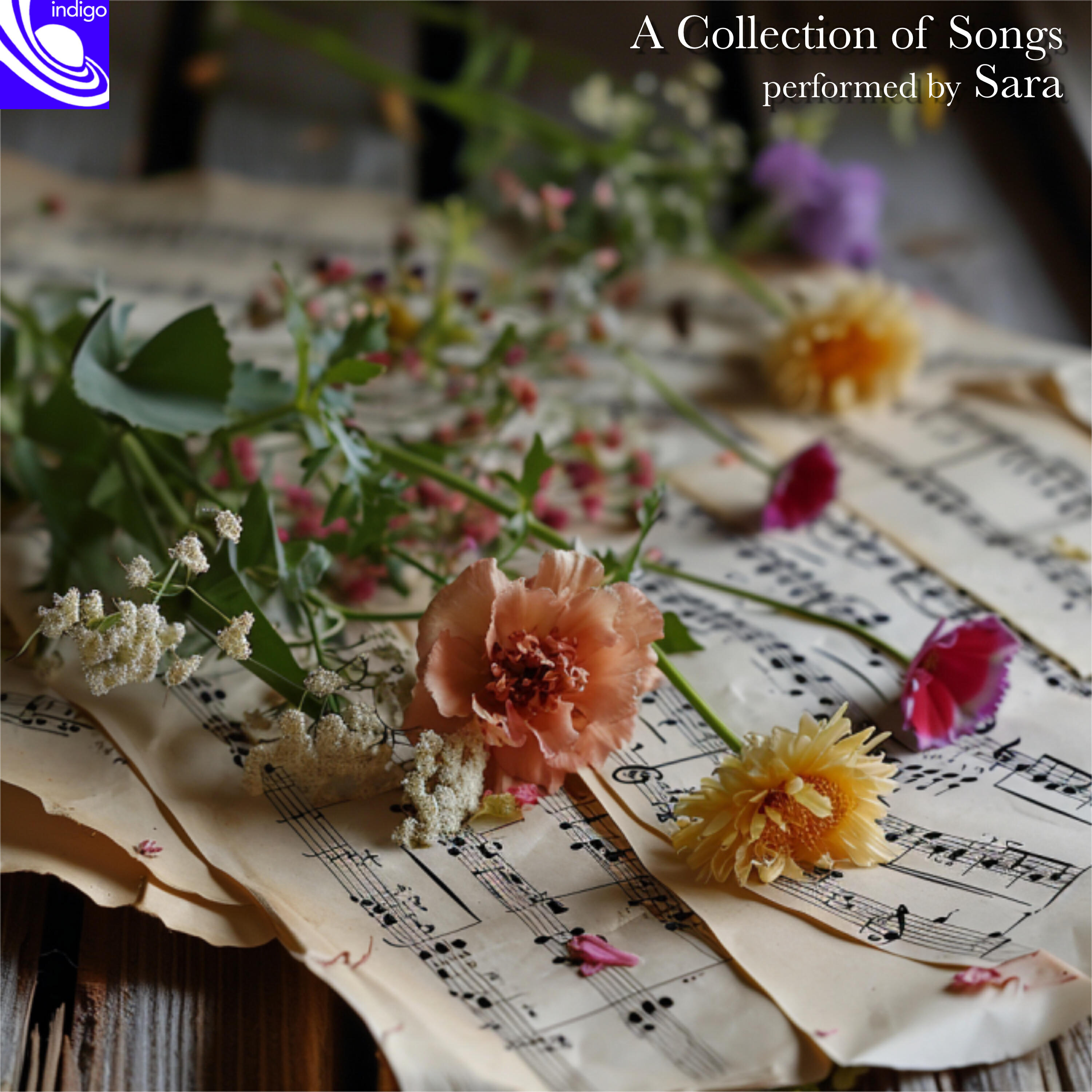Релиз A Collection of Songs
