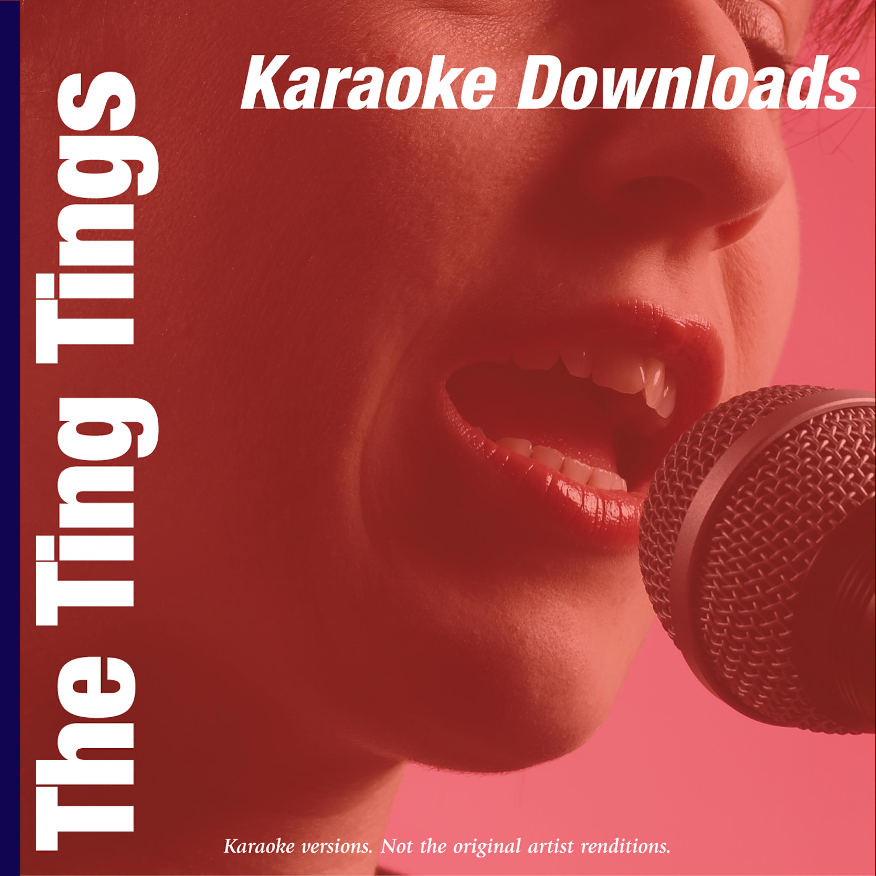 Релиз Karaoke Downloads - The Ting Tings