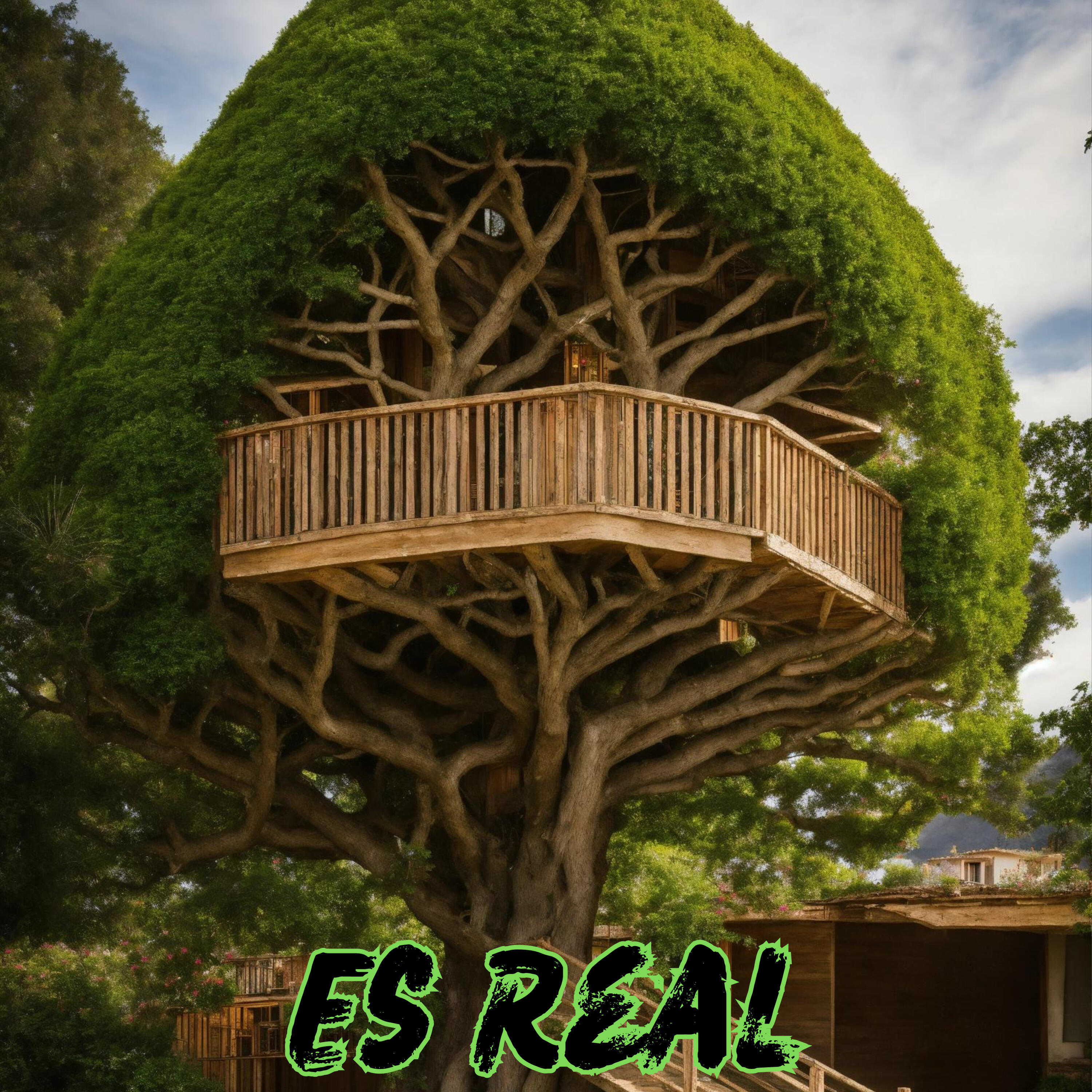 Релиз Es Real
