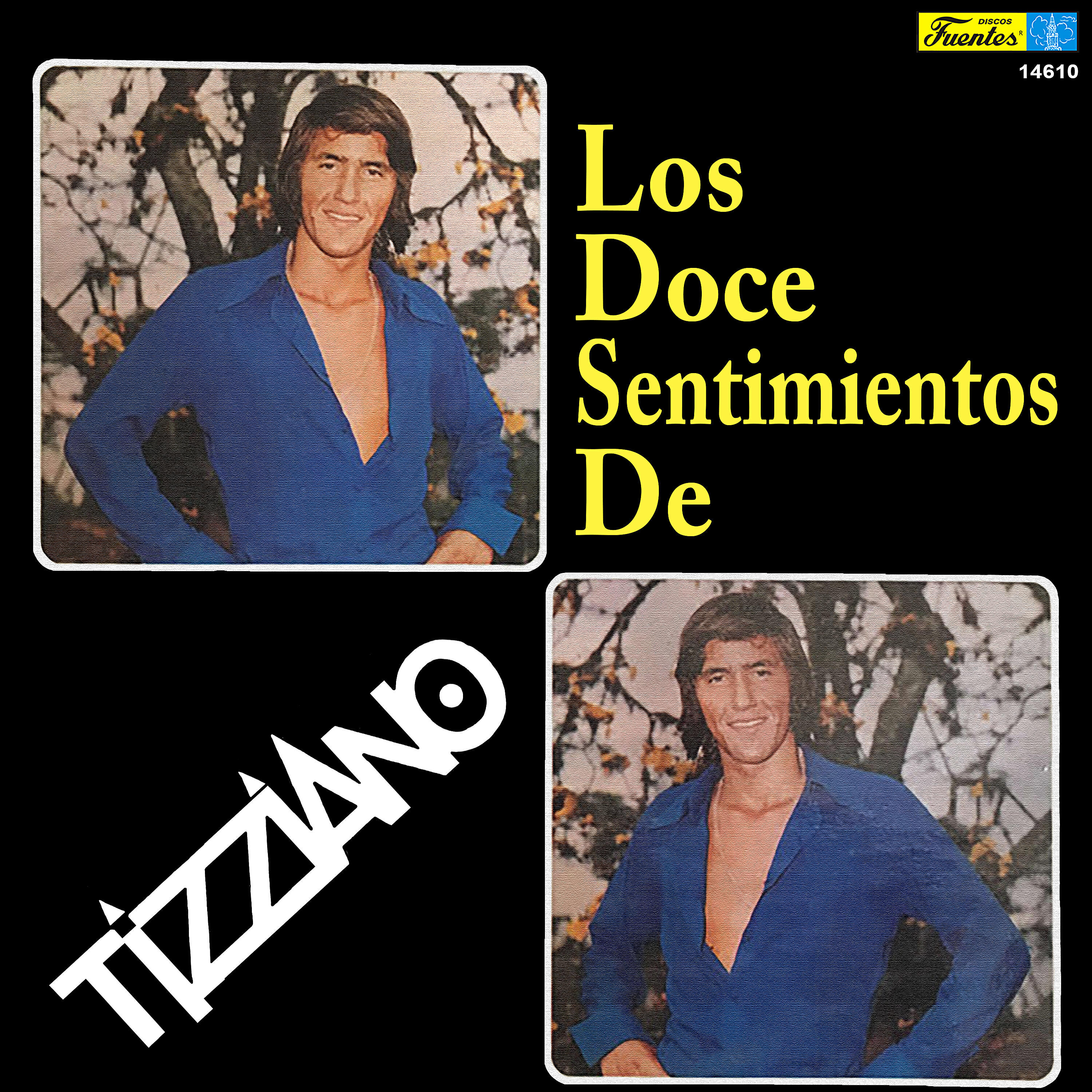 Постер альбома Los Doce Sentimientos De