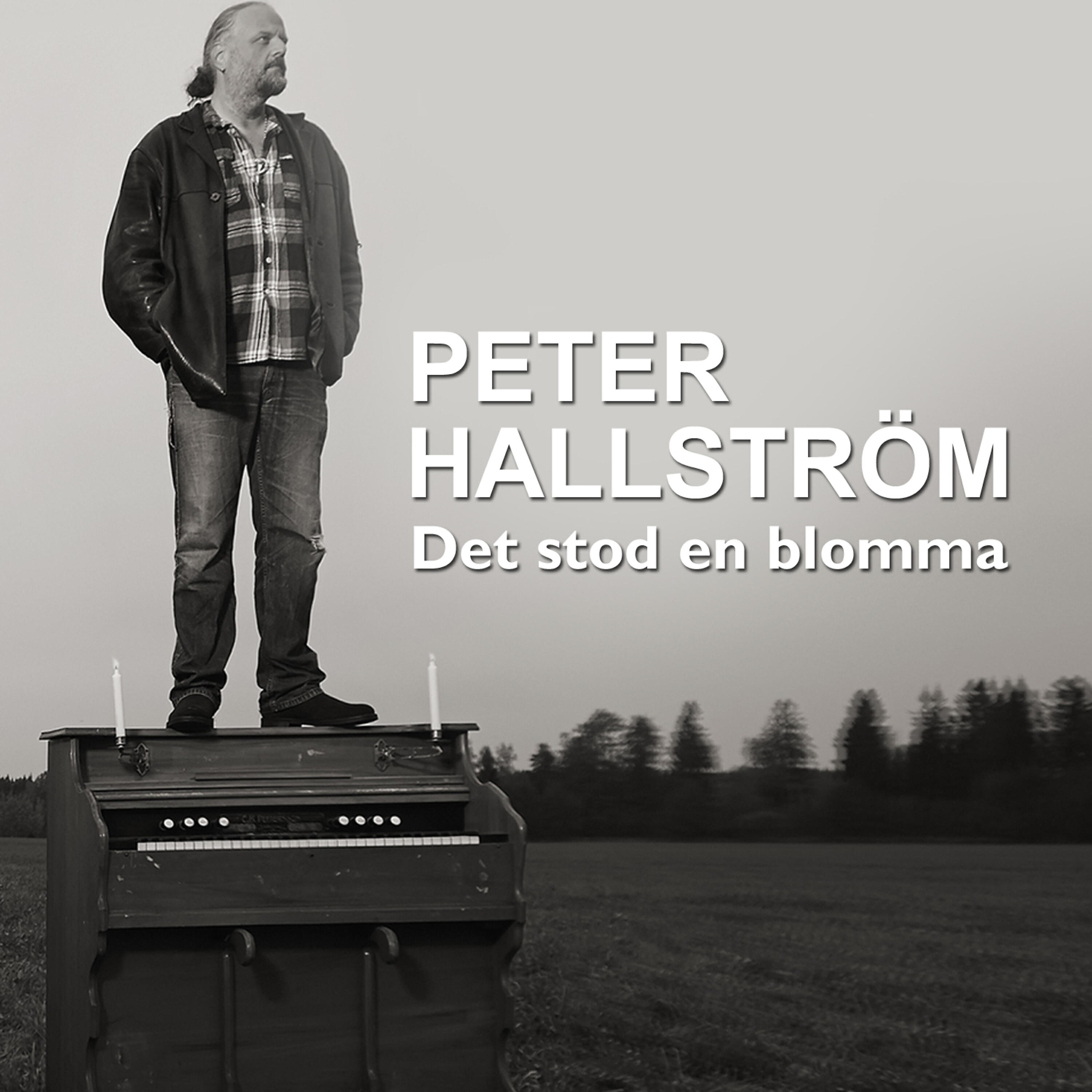 Релиз Det stod en blomma