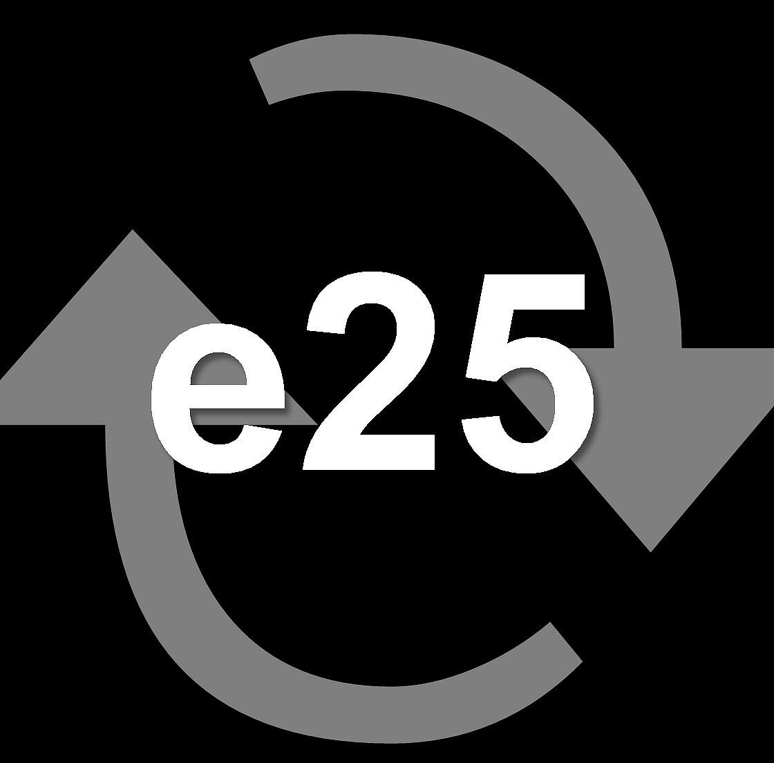 Concept e25