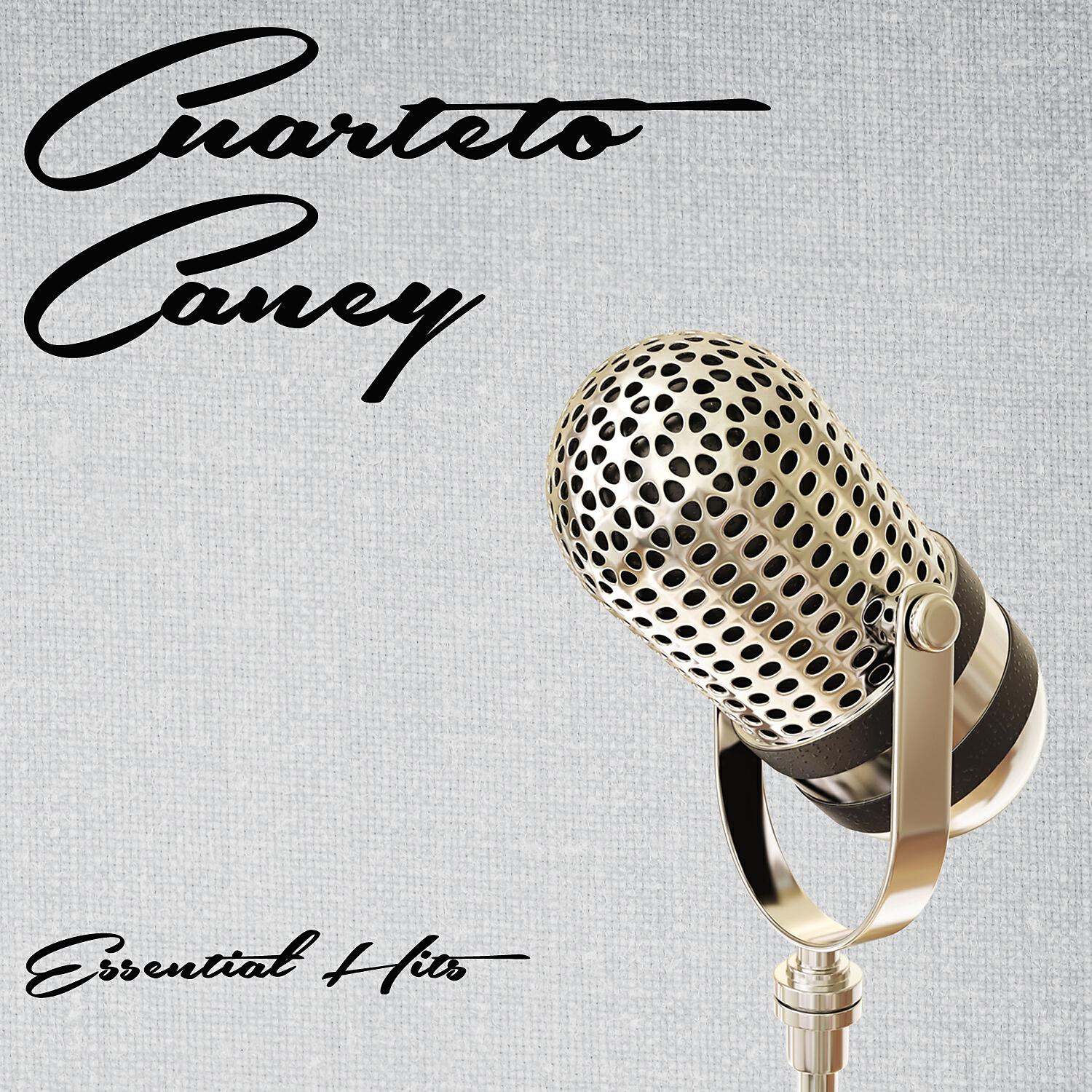 Релиз Essential Hits