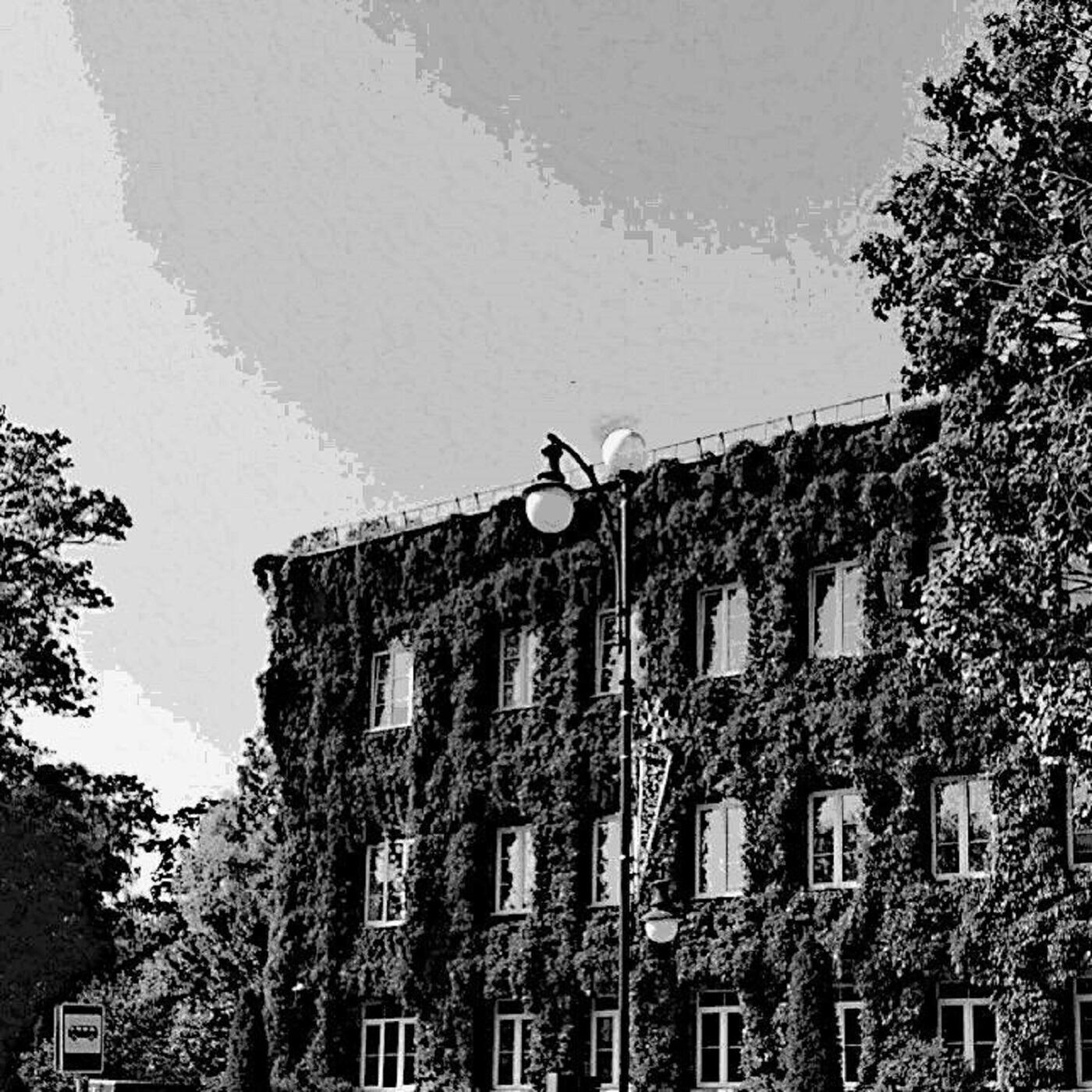 Релиз Dowhatyoupromisedsomeone