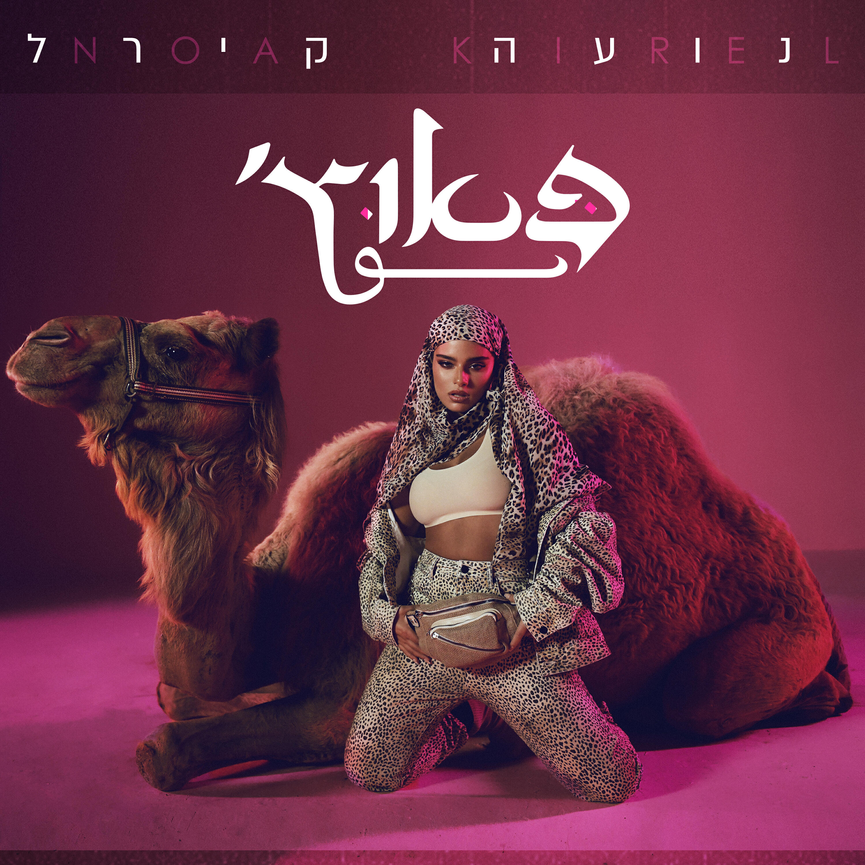 Релиз פאוץ'