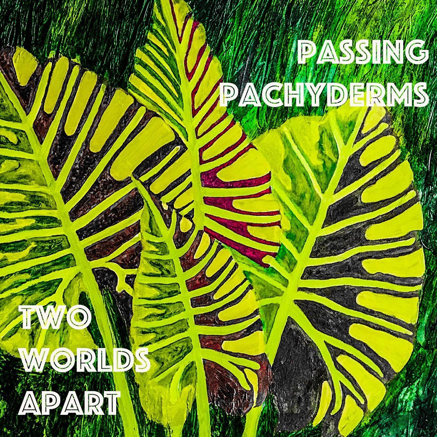 Релиз Passing Pachyderms
