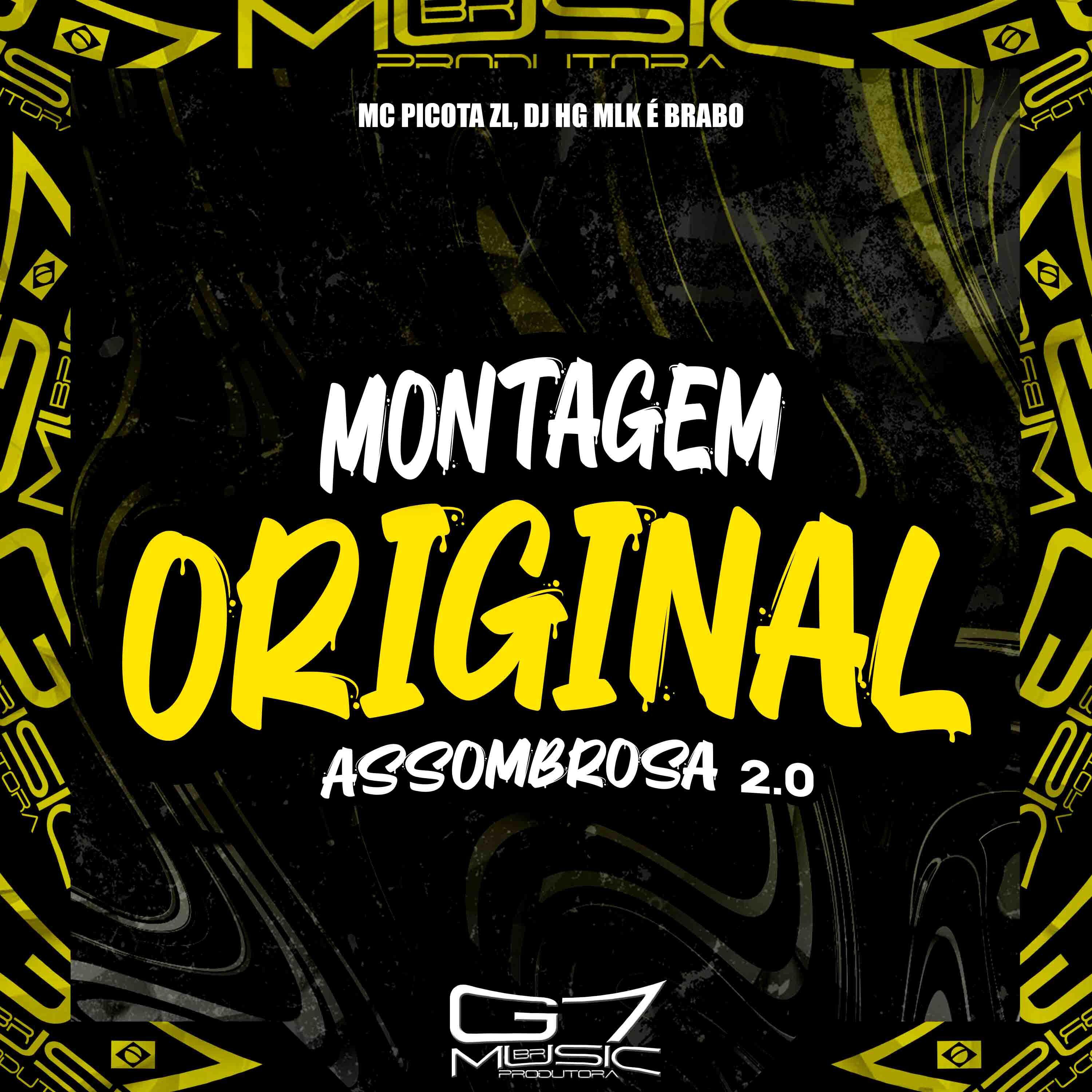 Mc Picota Zl