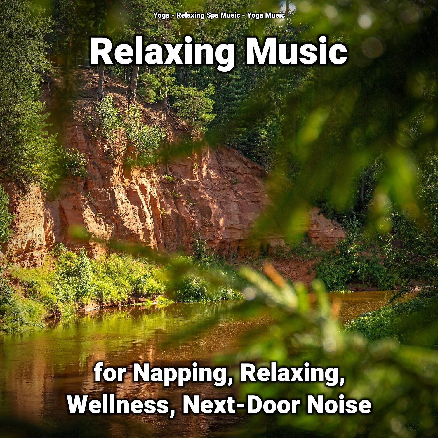Постер альбома Relaxing Music for Napping, Relaxing, Wellness, Next-Door Noise