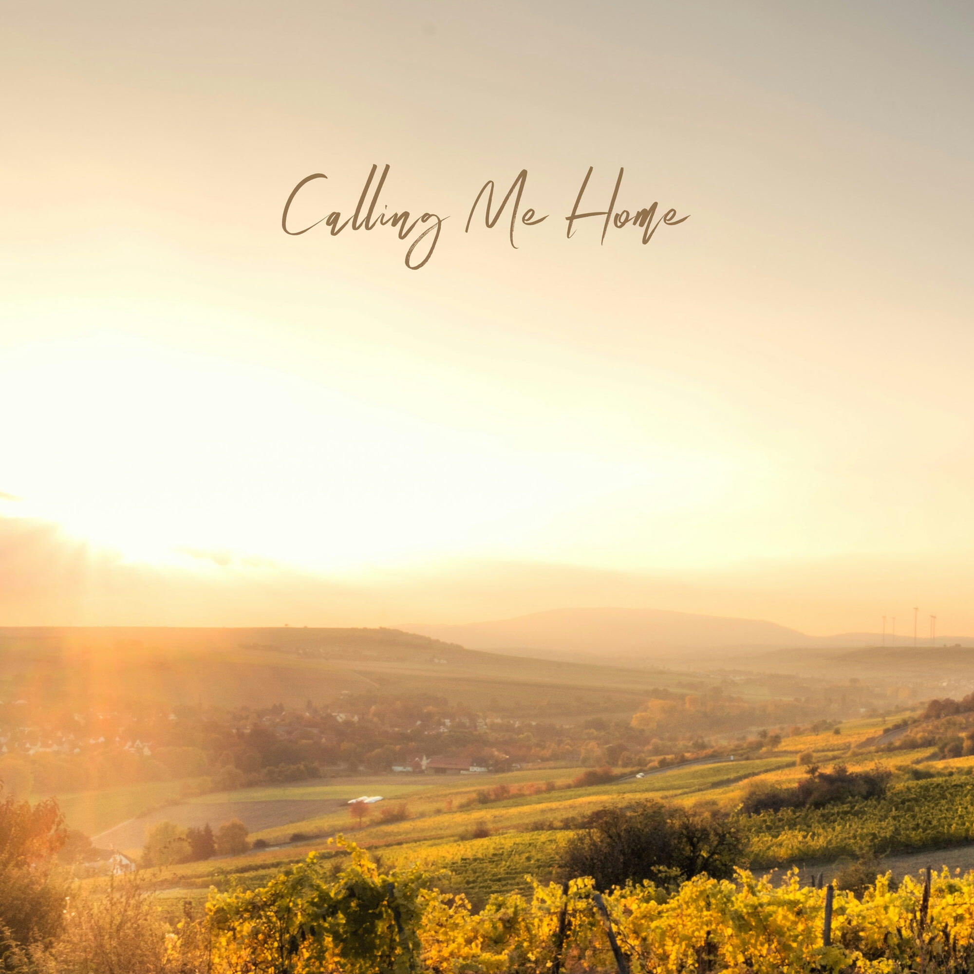 Релиз Calling Me Home