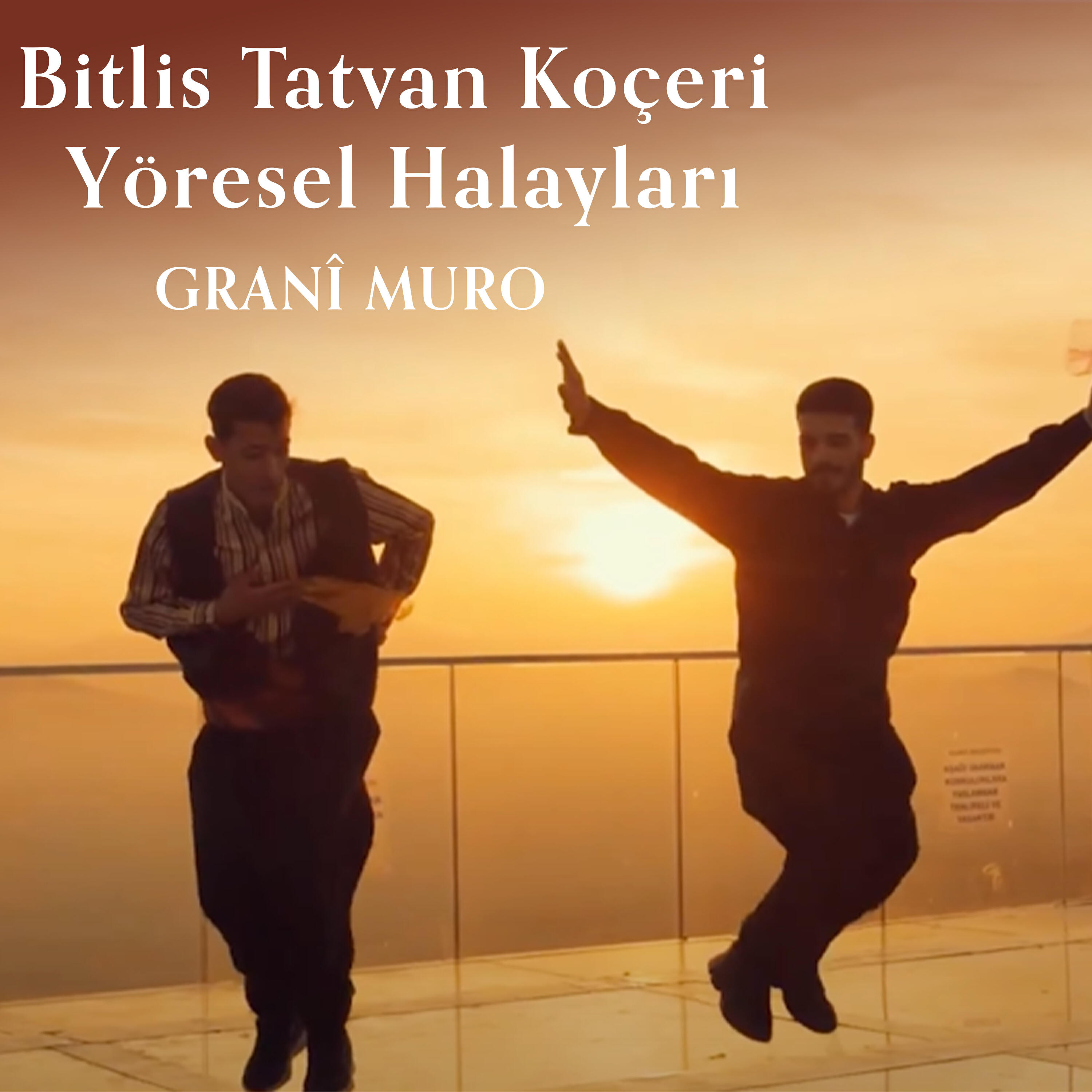 Релиз Bitlis Tatvan Koçeri Yöresel Halayları