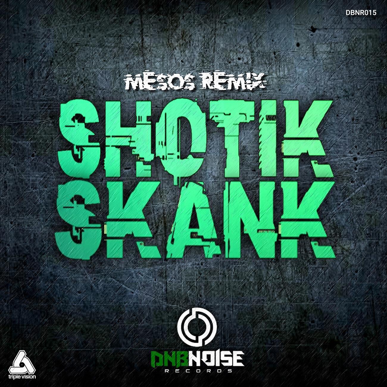 Релиз SKANK