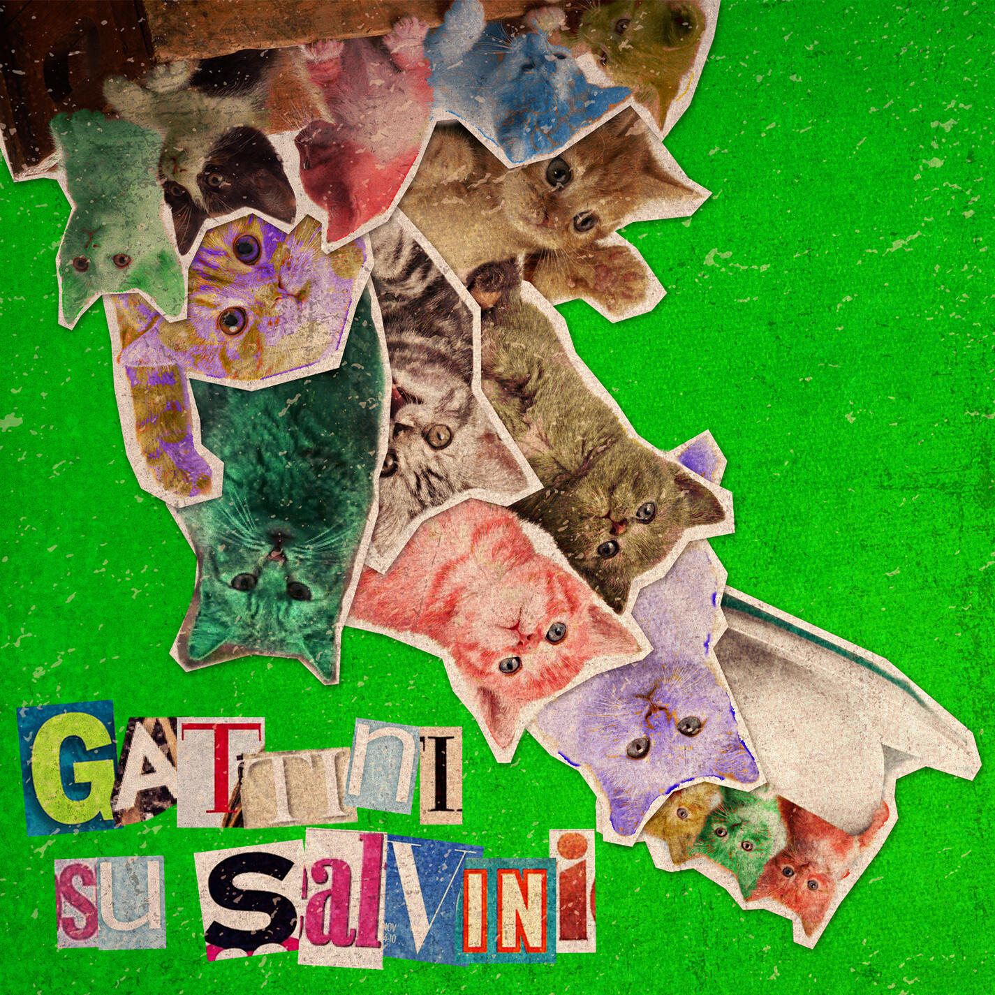Релиз Gattini su Salvini