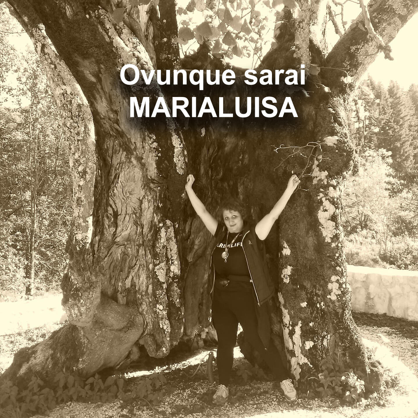 Релиз Ovunque sarai