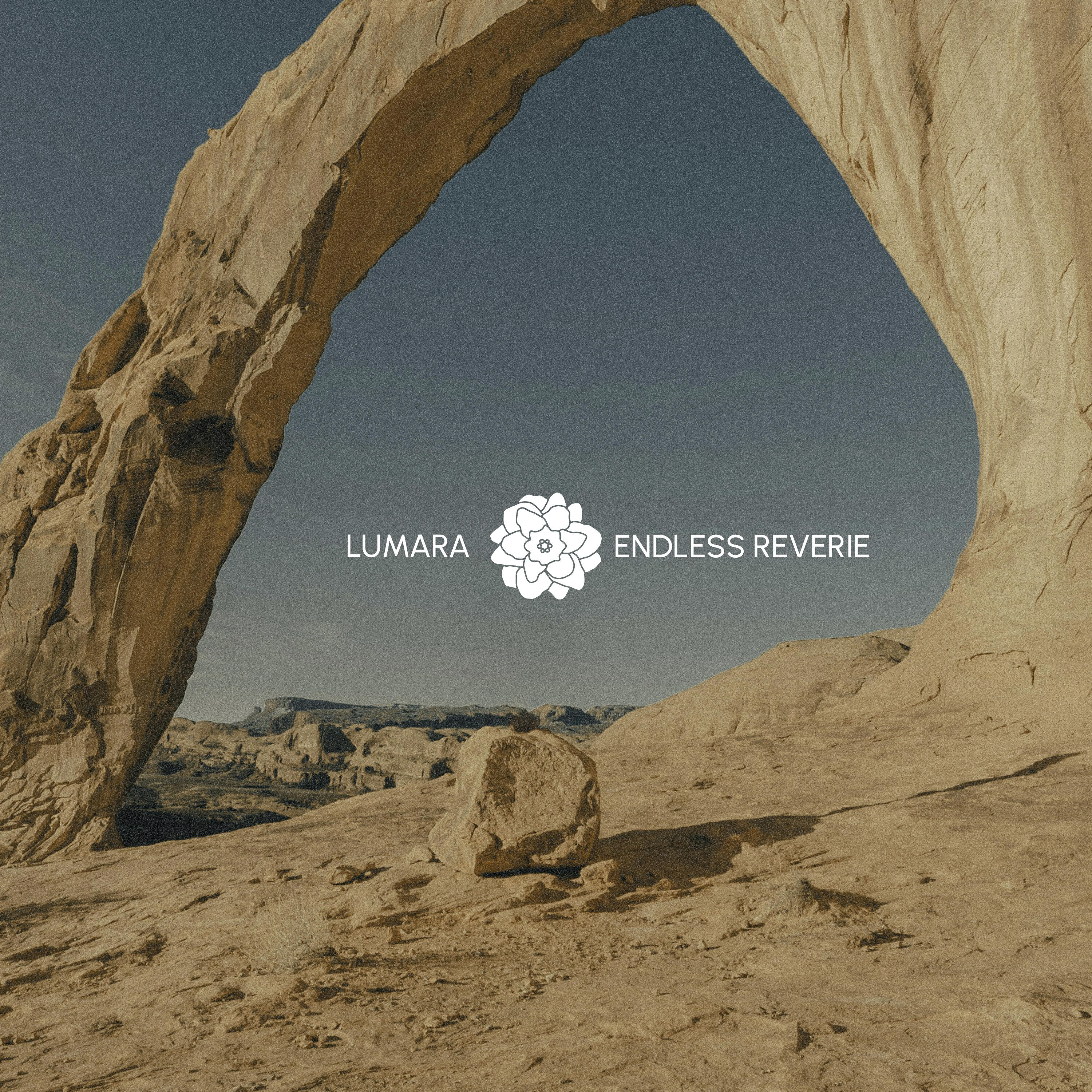 Релиз Endless Reverie