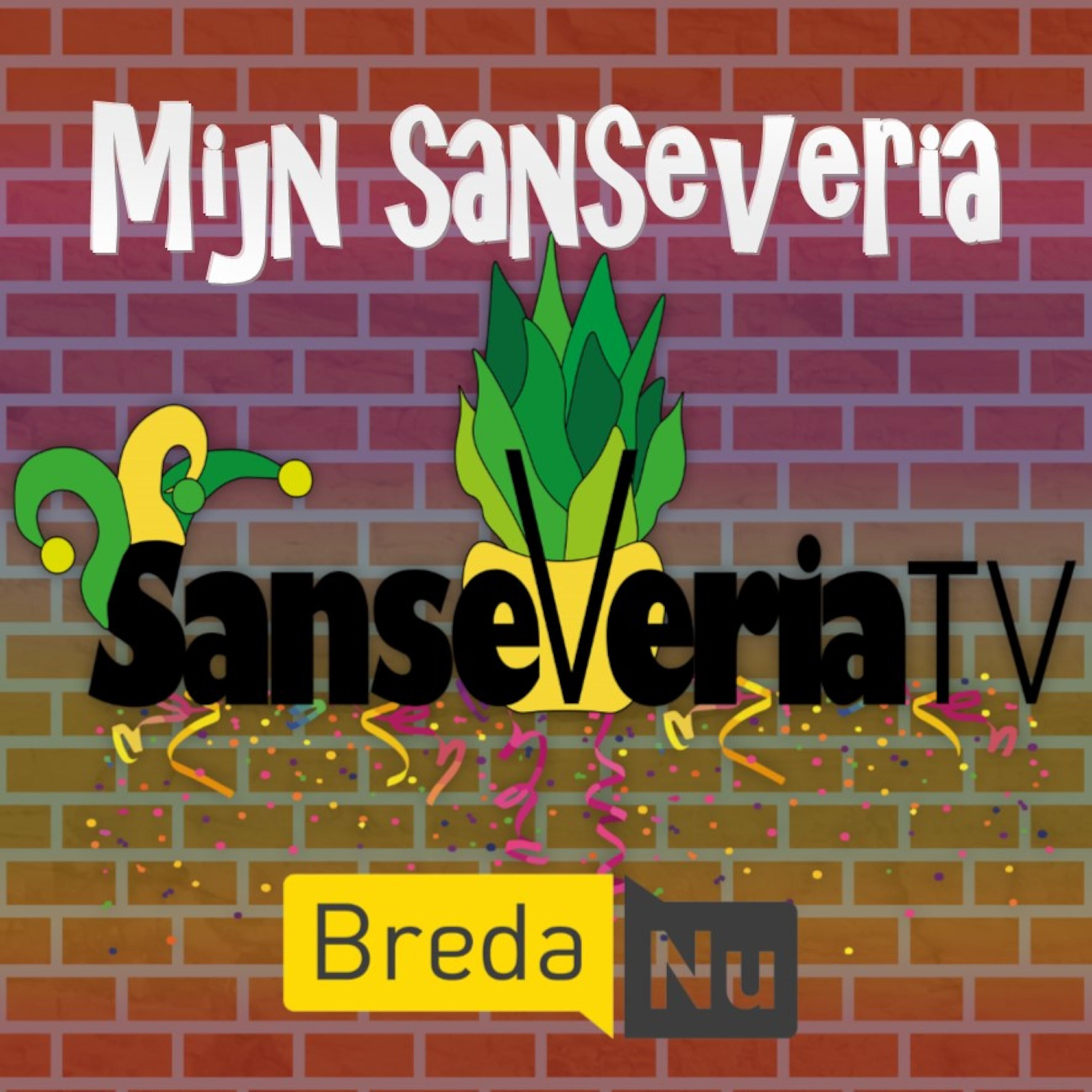 Релиз Mijn Sanseveria