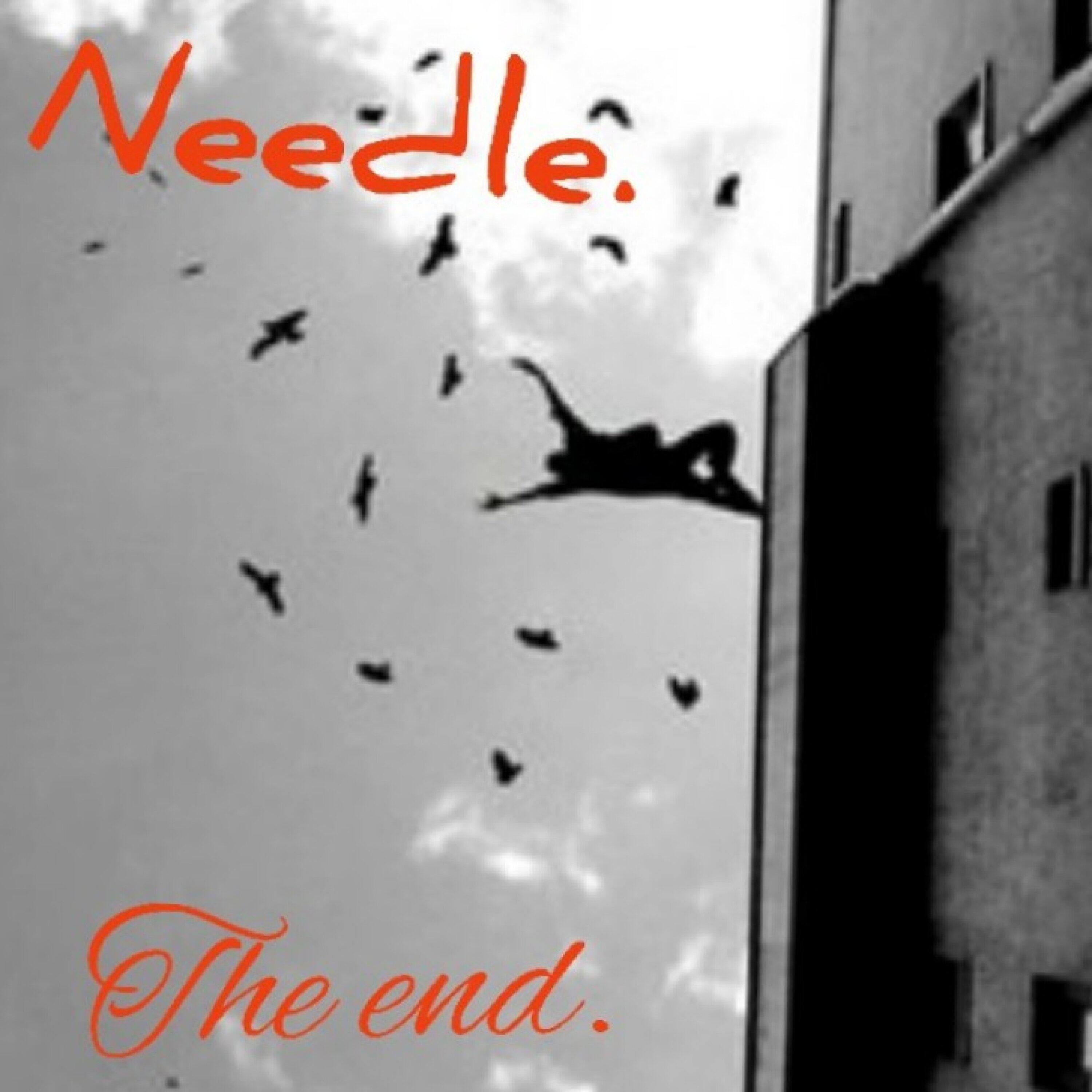Релиз The End