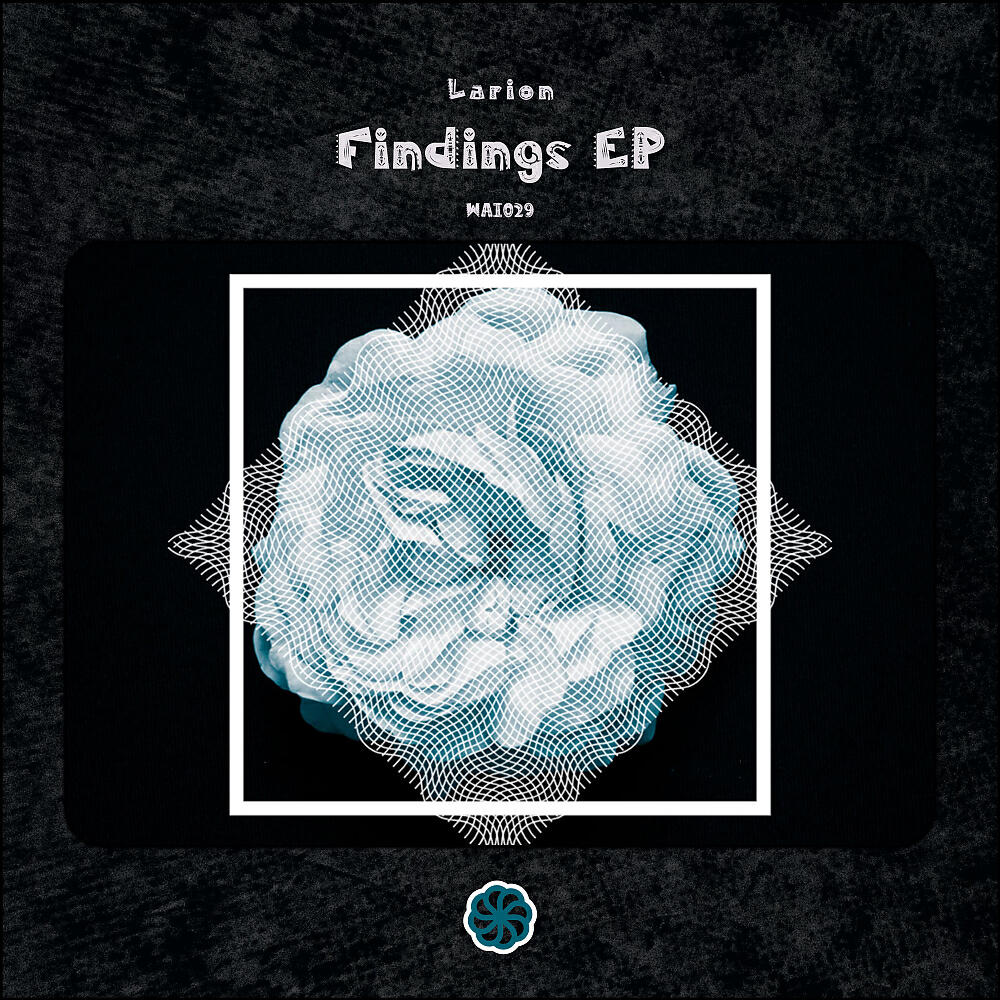 Релиз Findings