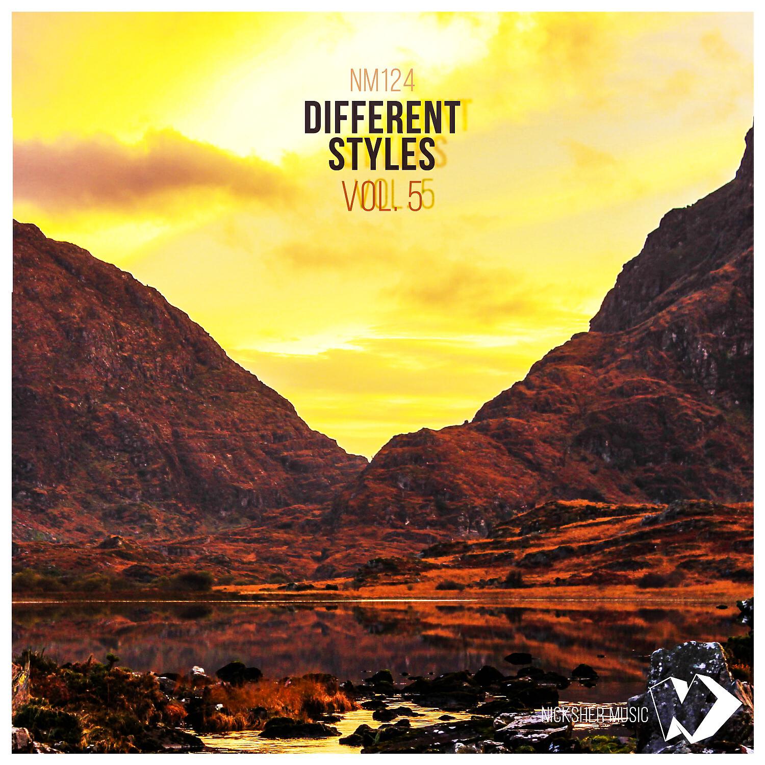 Релиз Different Styles Vol.5