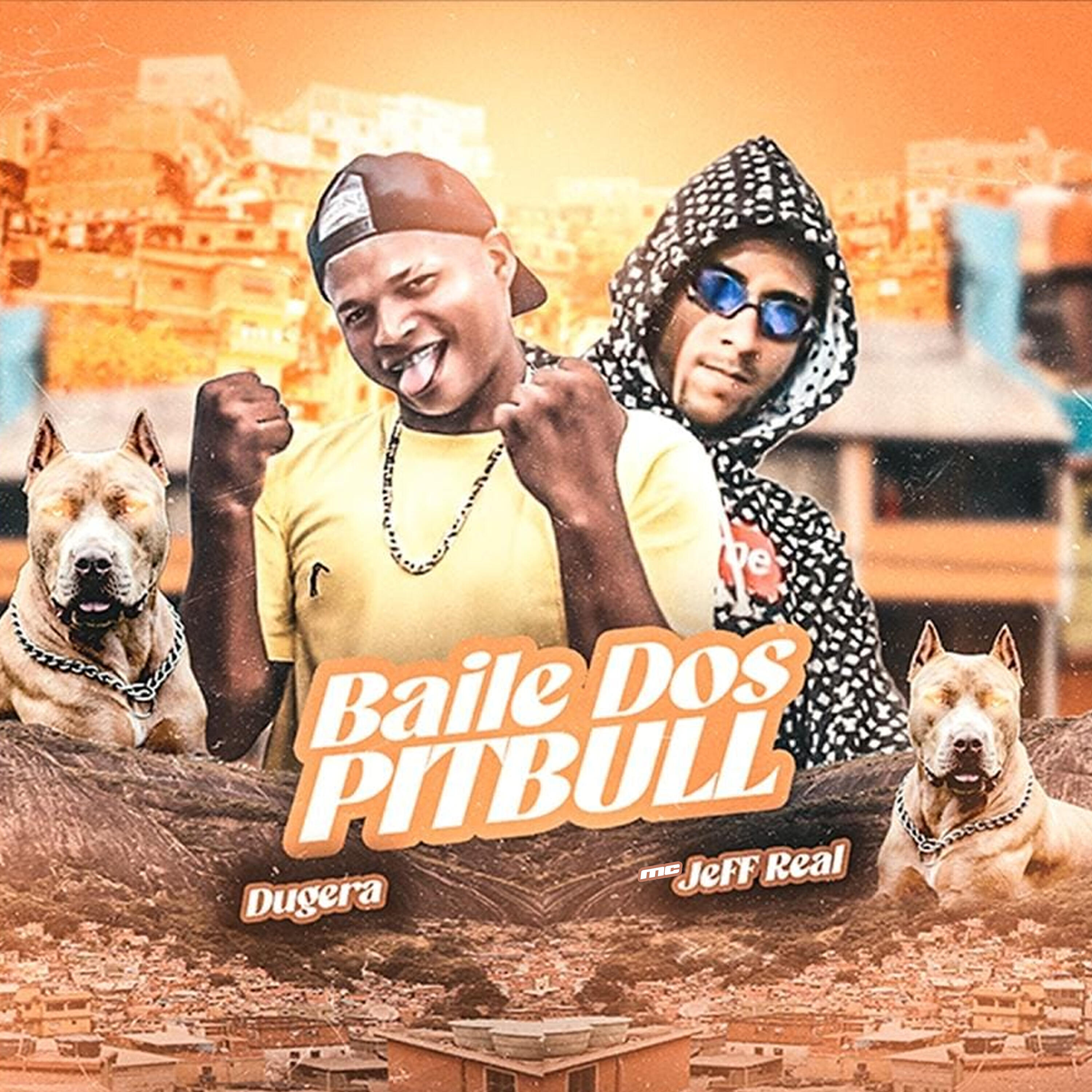 Релиз Baile dos Pitbull
