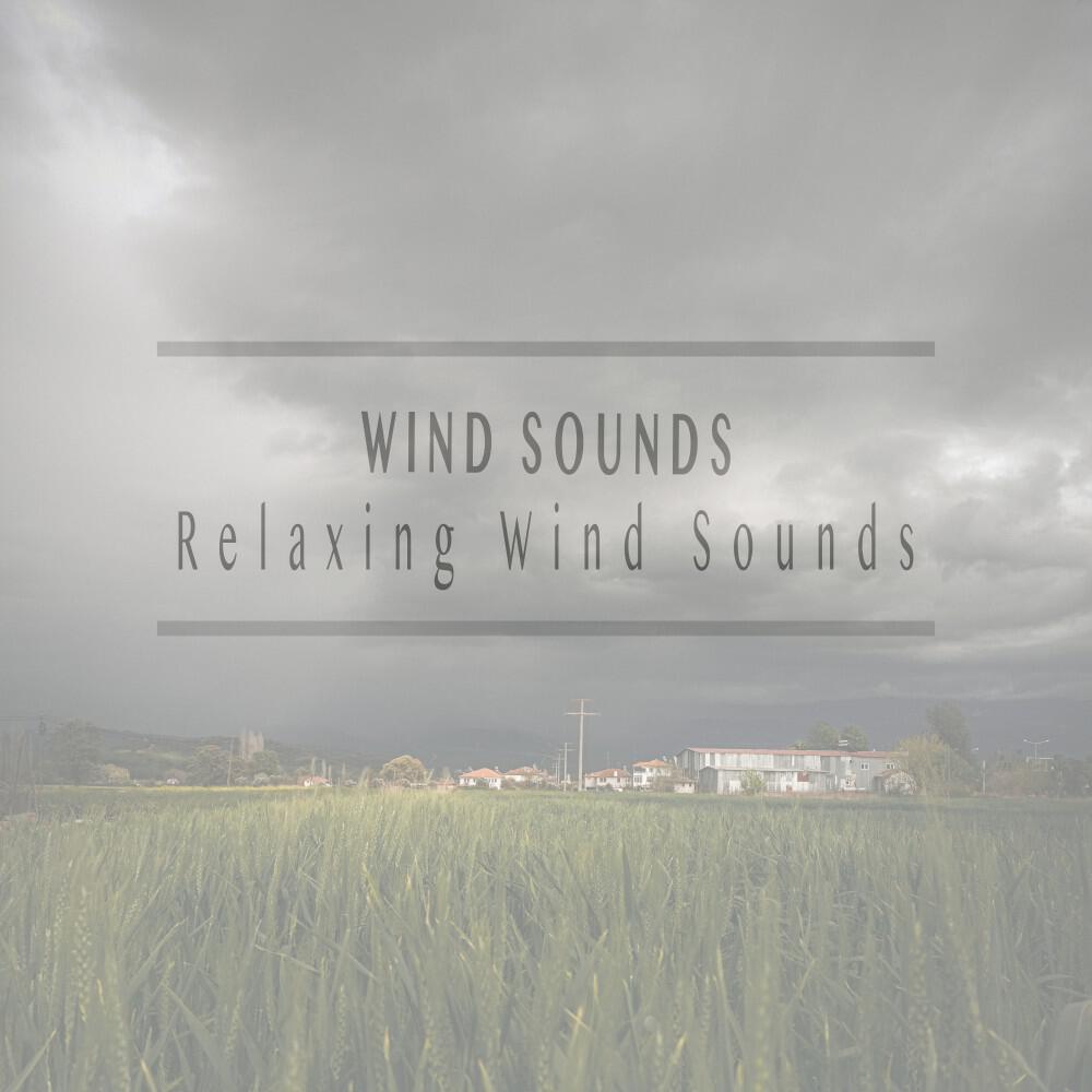 Релиз Relaxing Wind Sounds