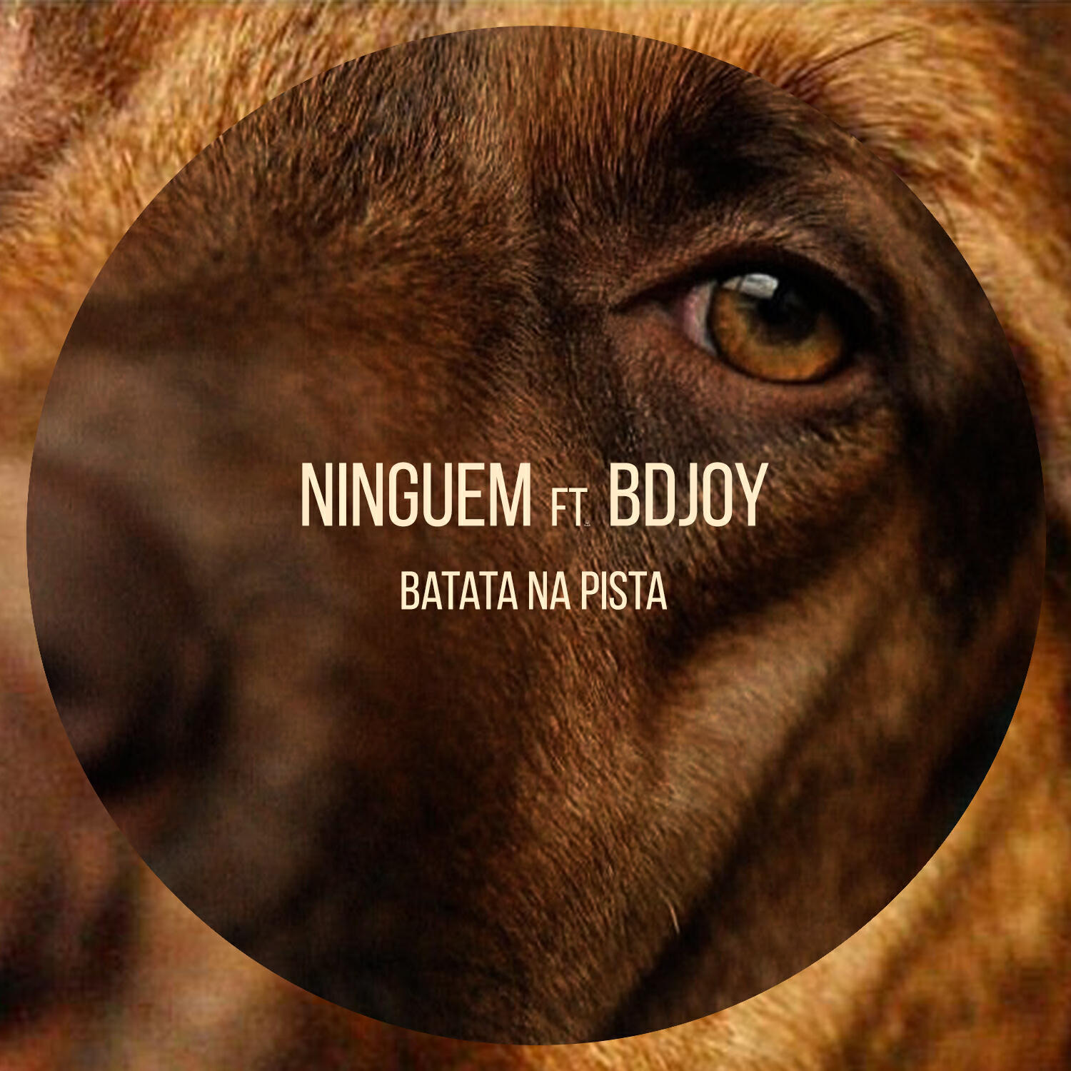 Ninguem