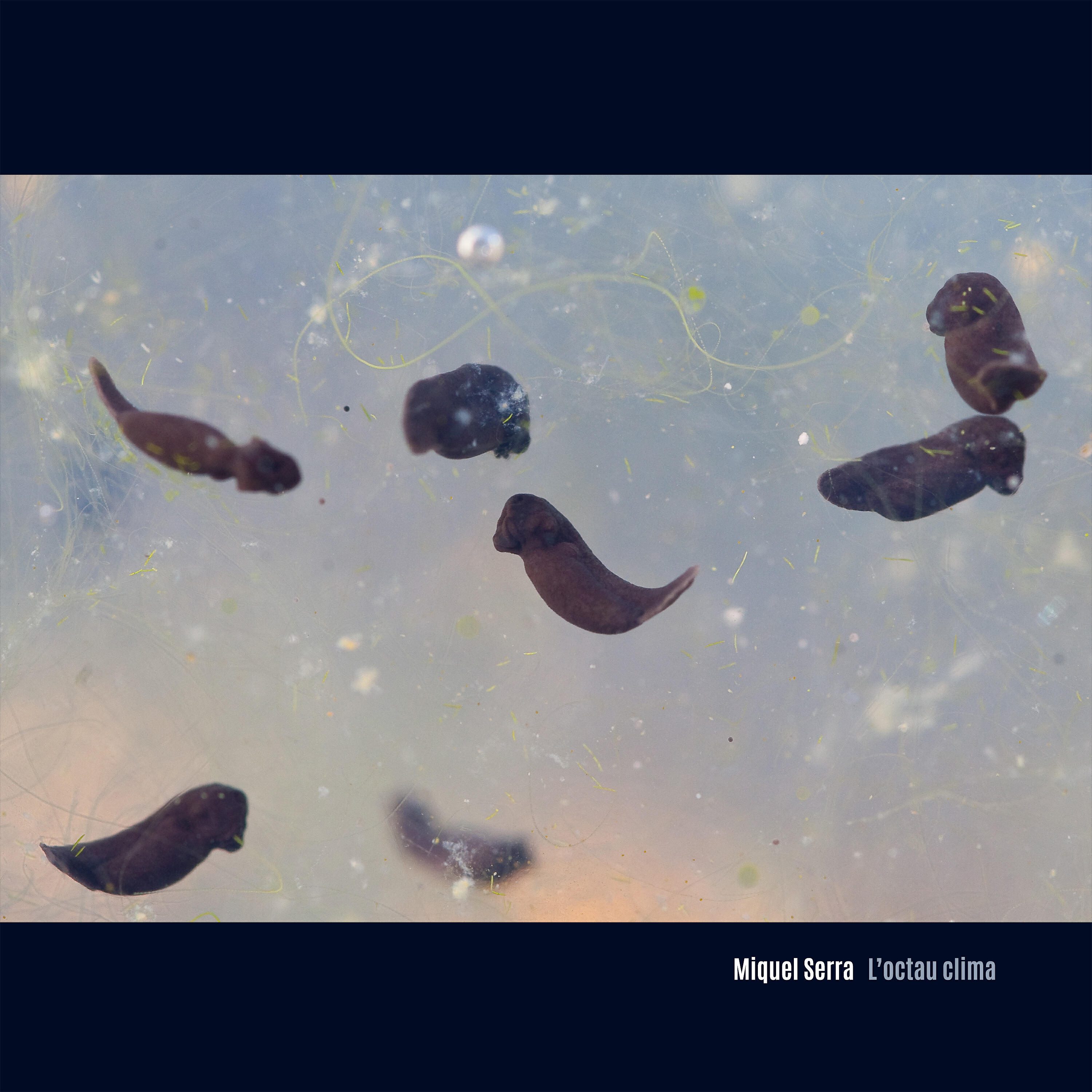 Релиз L'Octau Clima