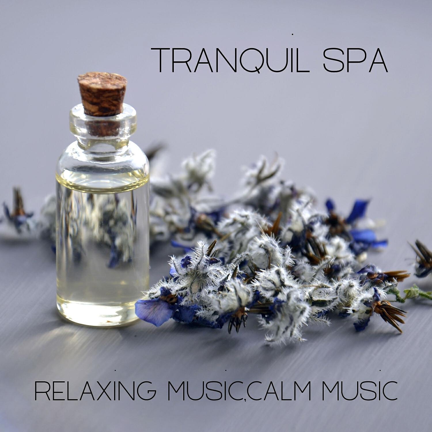 Релиз Tranquil Spa