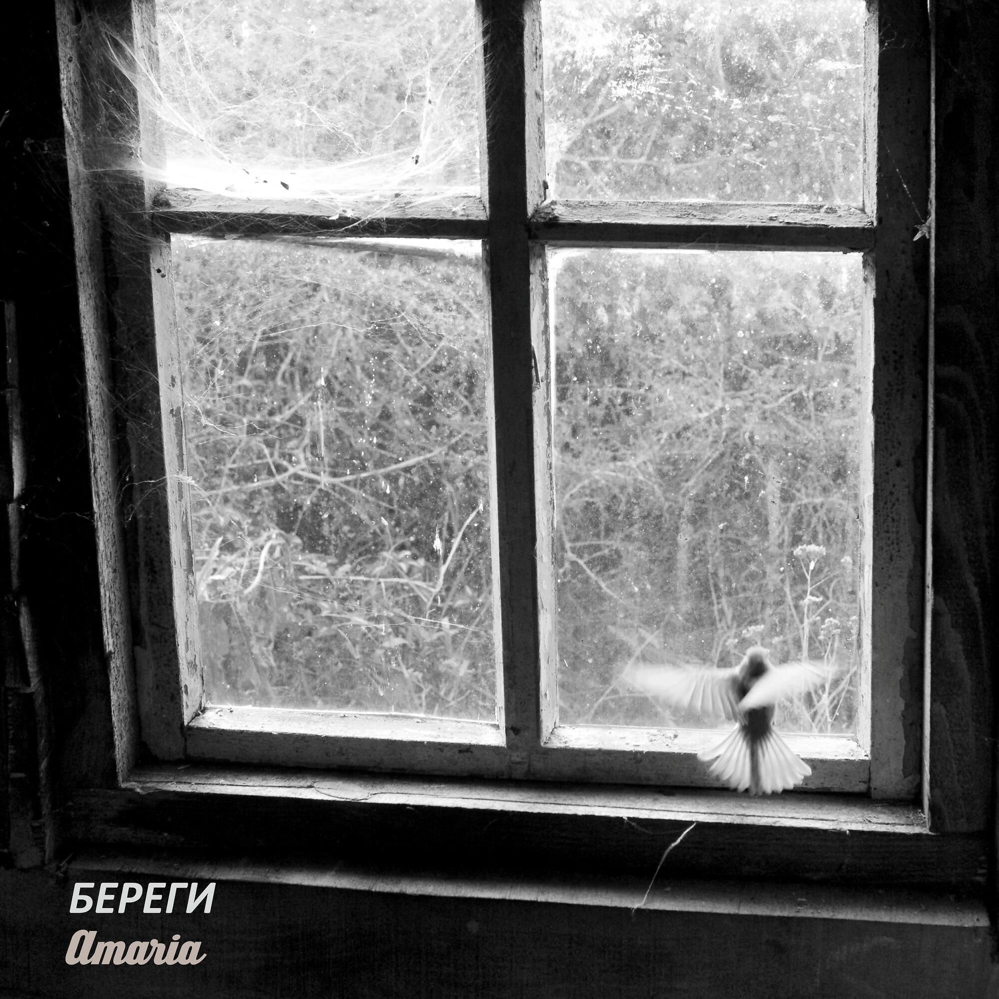 Скачать песню AMARIA - Береги бесплатно в MP3 для Android и iOS