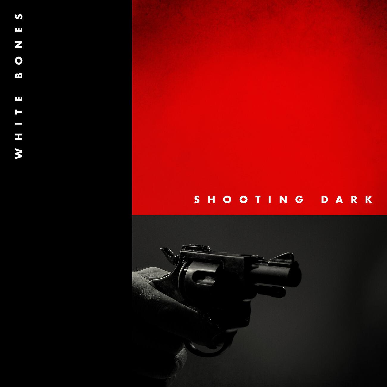 Релиз Shooting Dark
