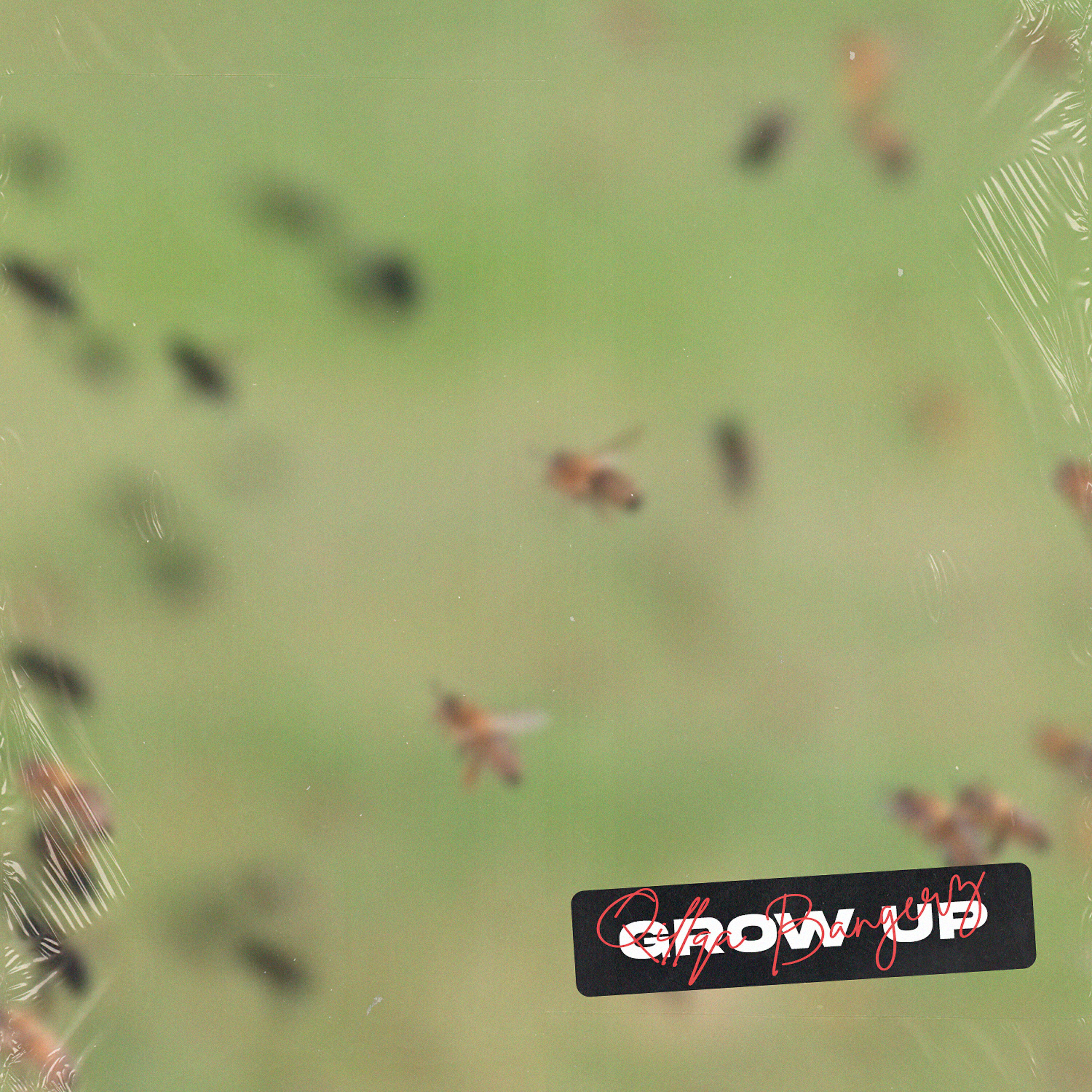 Релиз Grow Up