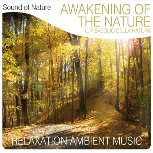 Релиз Awakening of the Nature