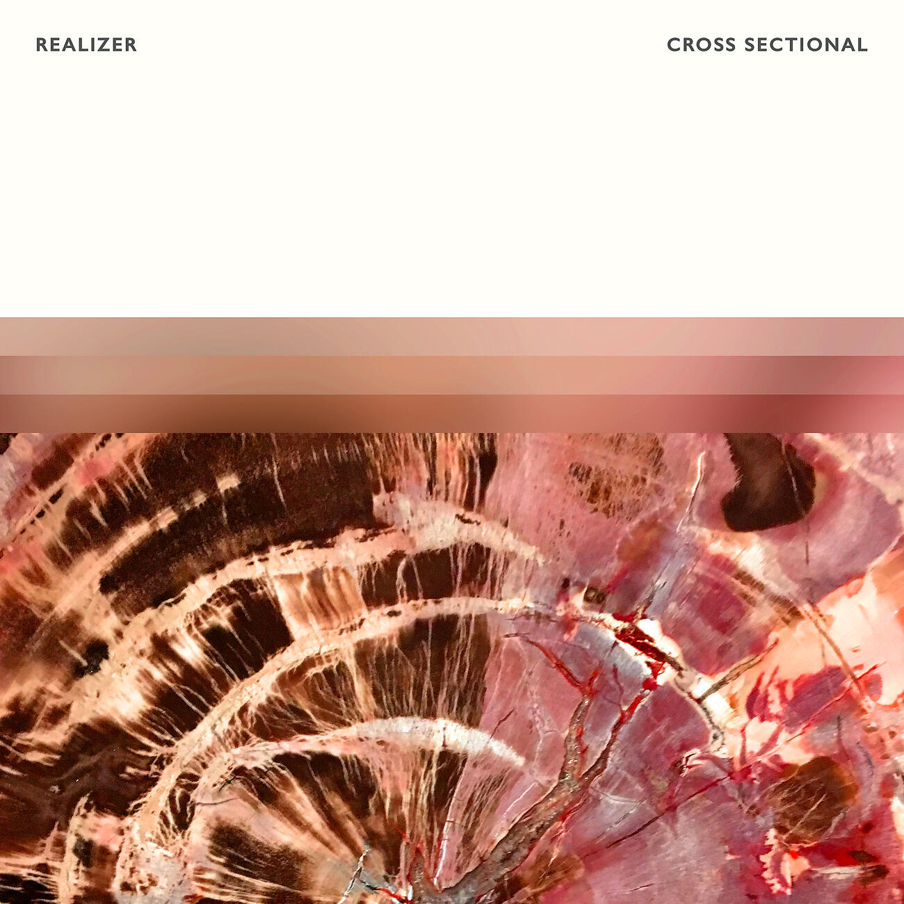 Релиз Cross Sectional