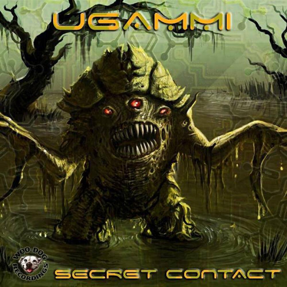 Релиз Secret Contact