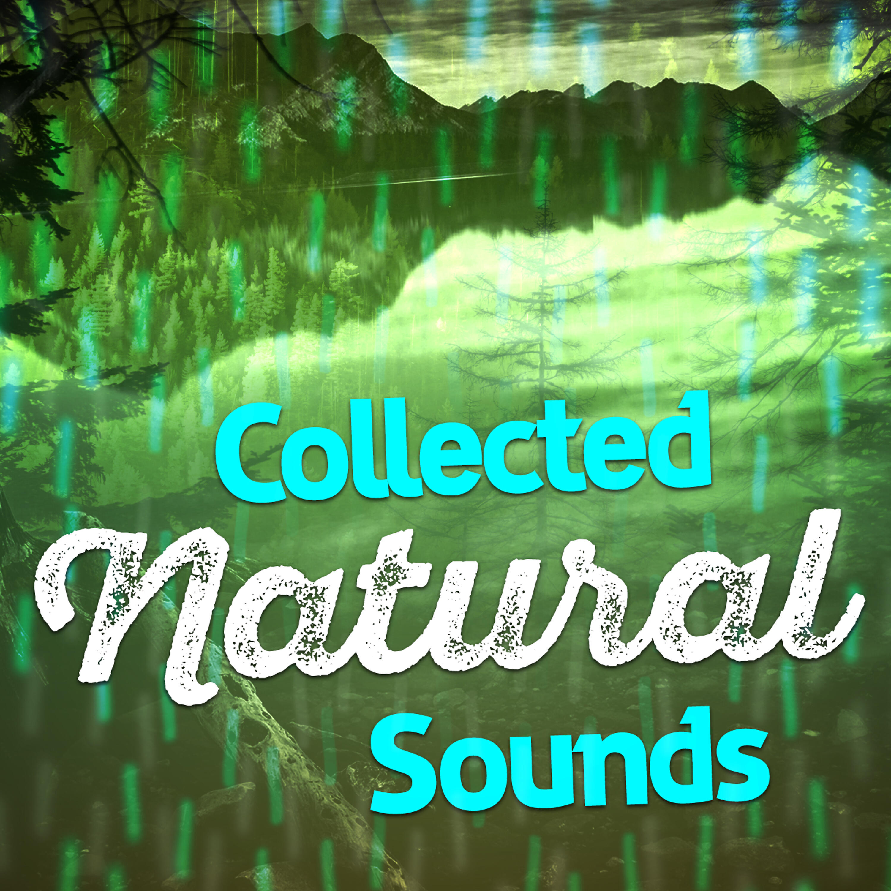 Релиз Collected Natural Sounds