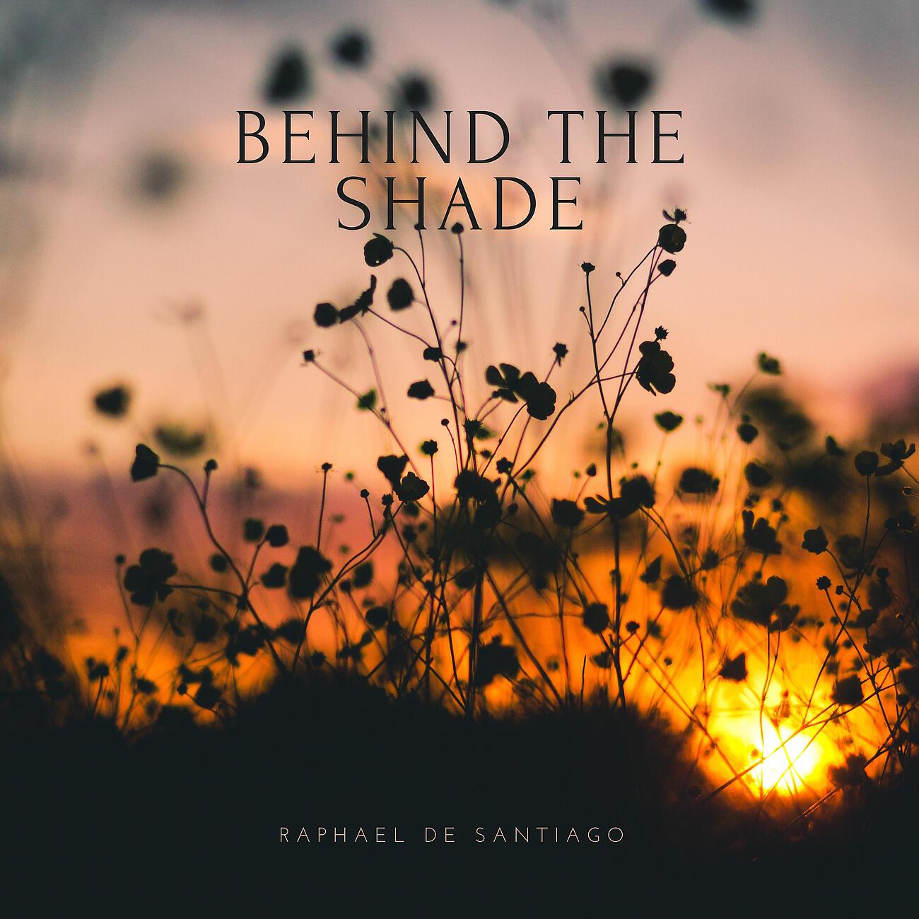 Релиз Behind The Shade