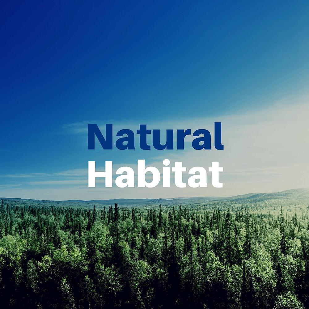 Релиз Natural Habitat