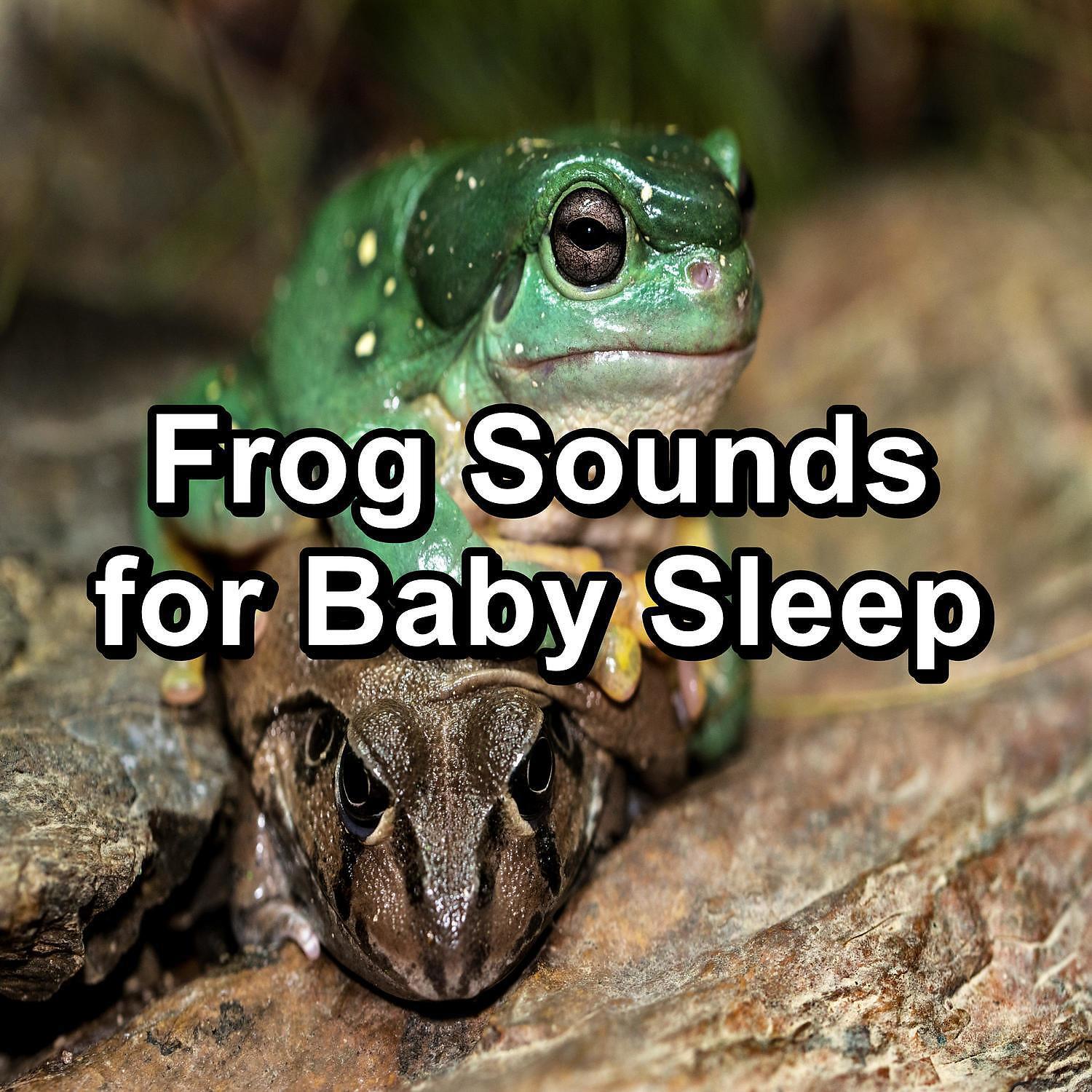 Релиз Frog Sounds for Baby Sleep